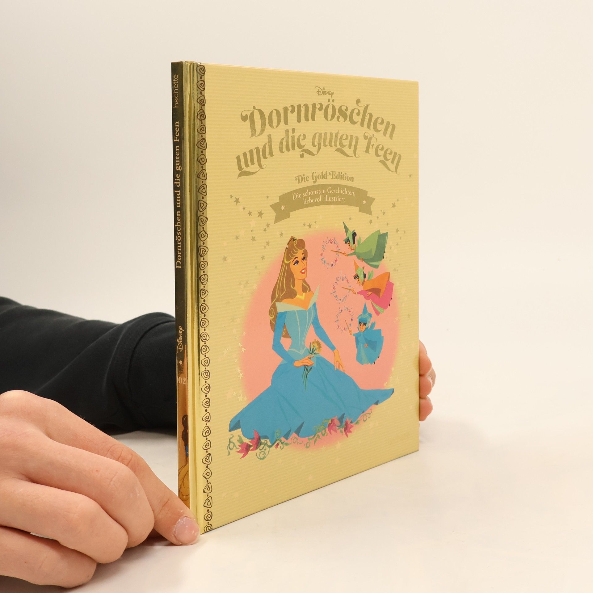 Autorenkollektiv Dornröschen und die guten Feen