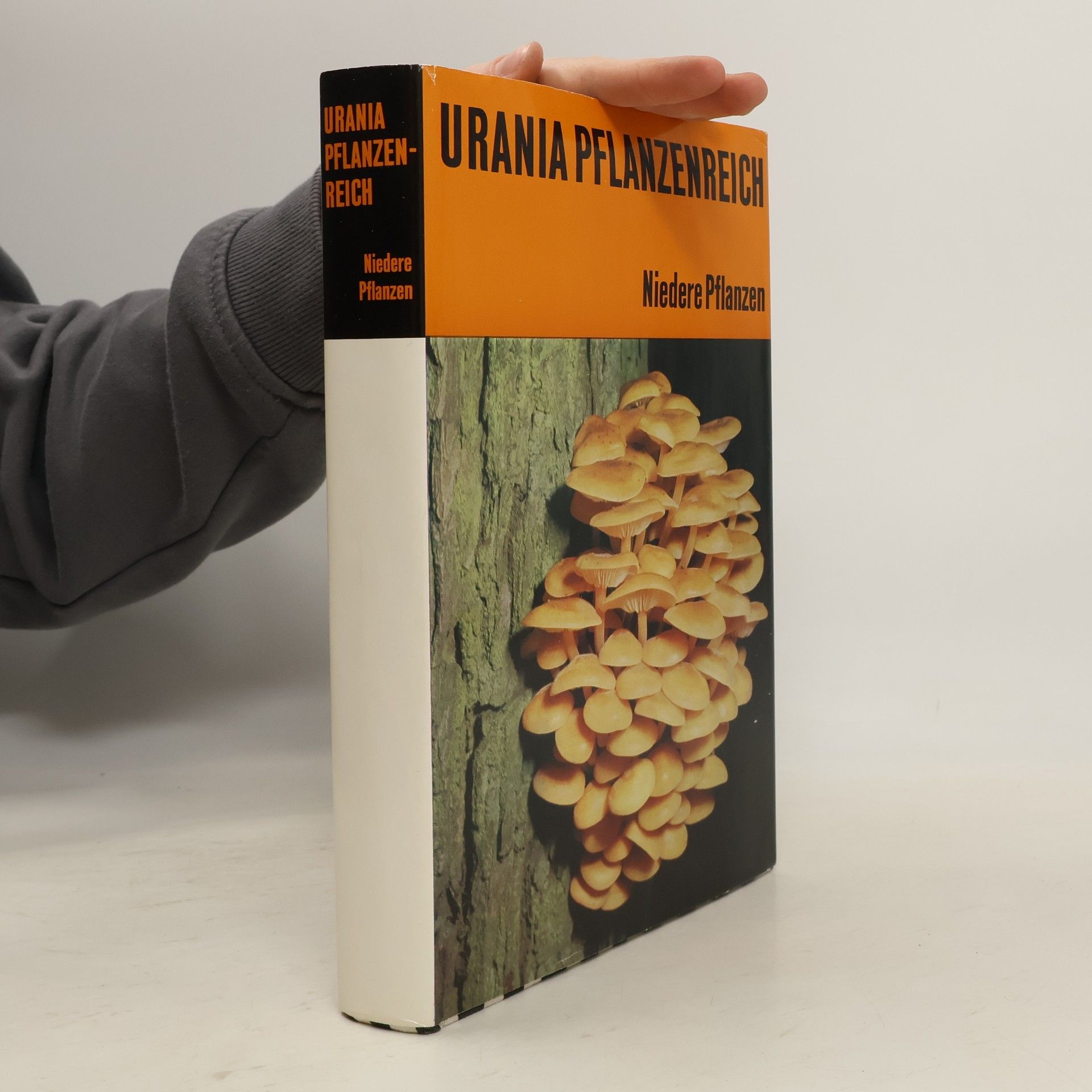 Autorenkollektiv Urania Pflanzenreich: Niedere Pflanzen