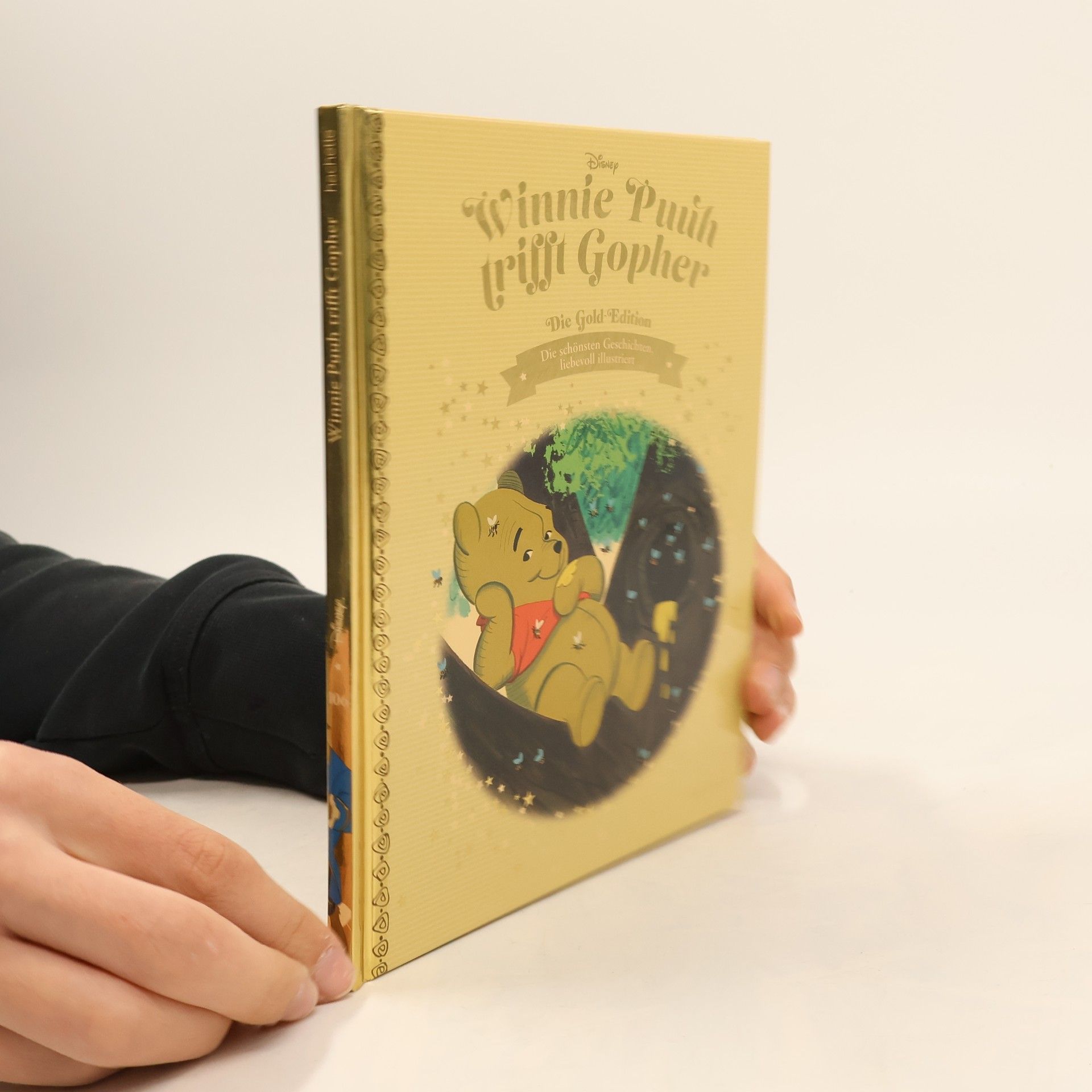 Autorenkollektiv Winnie Puuh trifft Gopher