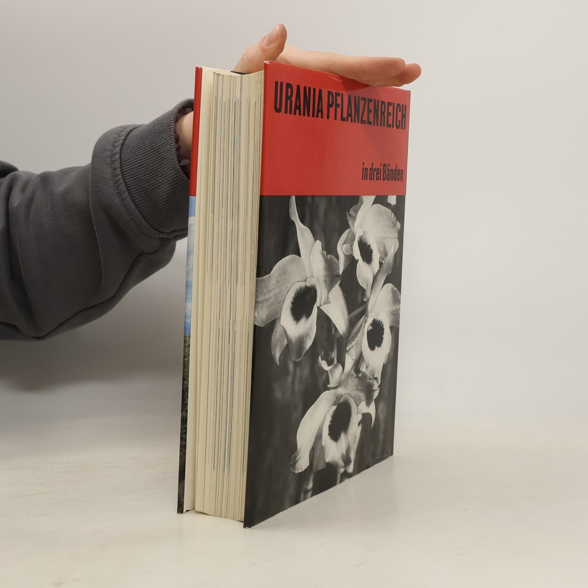 Various authors Urania Pflanzenreich: Höhere Pflanzen 1