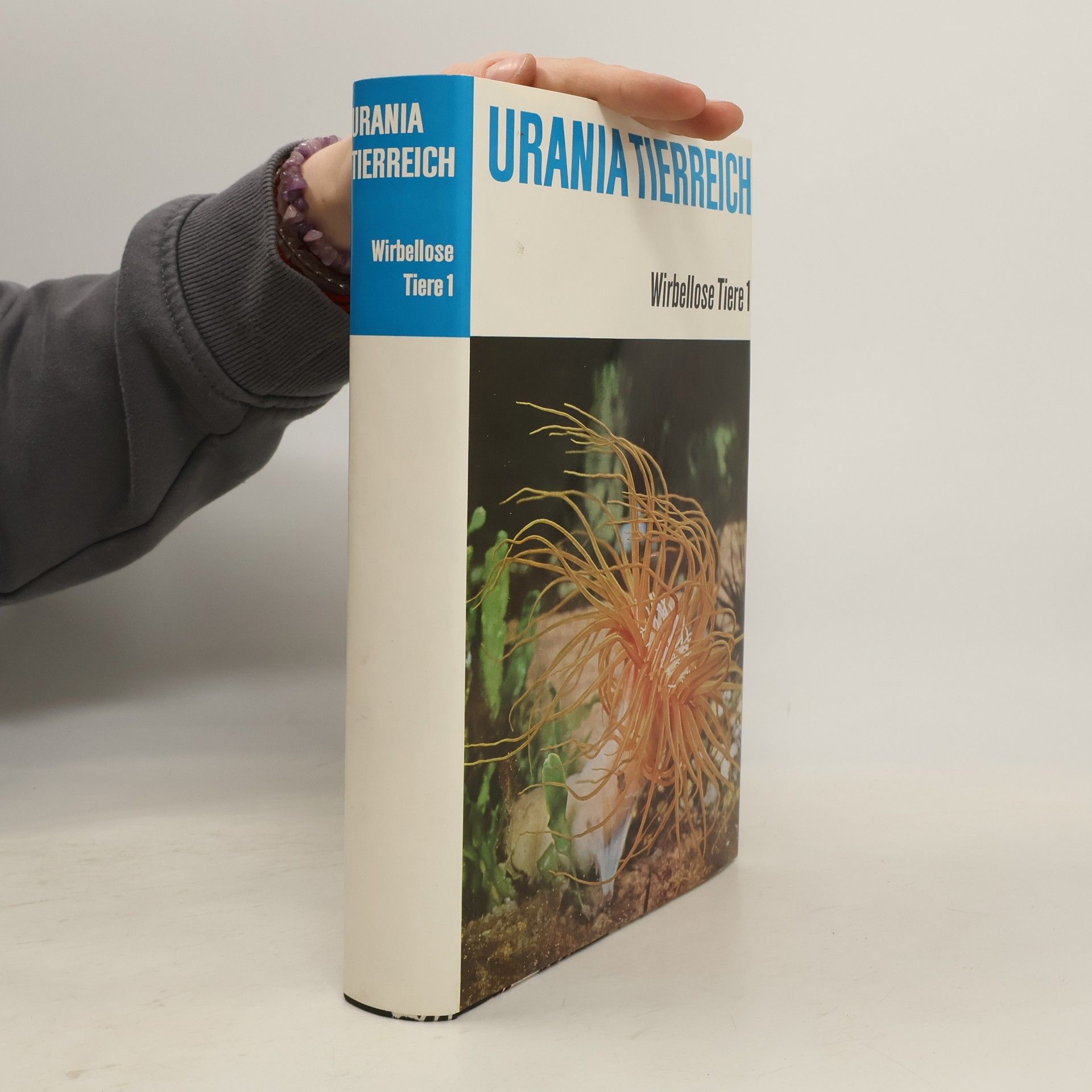 Autorenkollektiv Urania Tierreich. Wirbellose Tiere 1