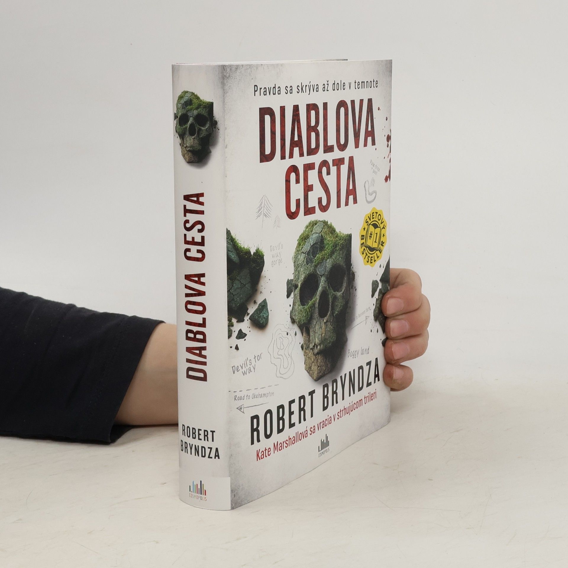 Robert Bryndza Diablova cesta