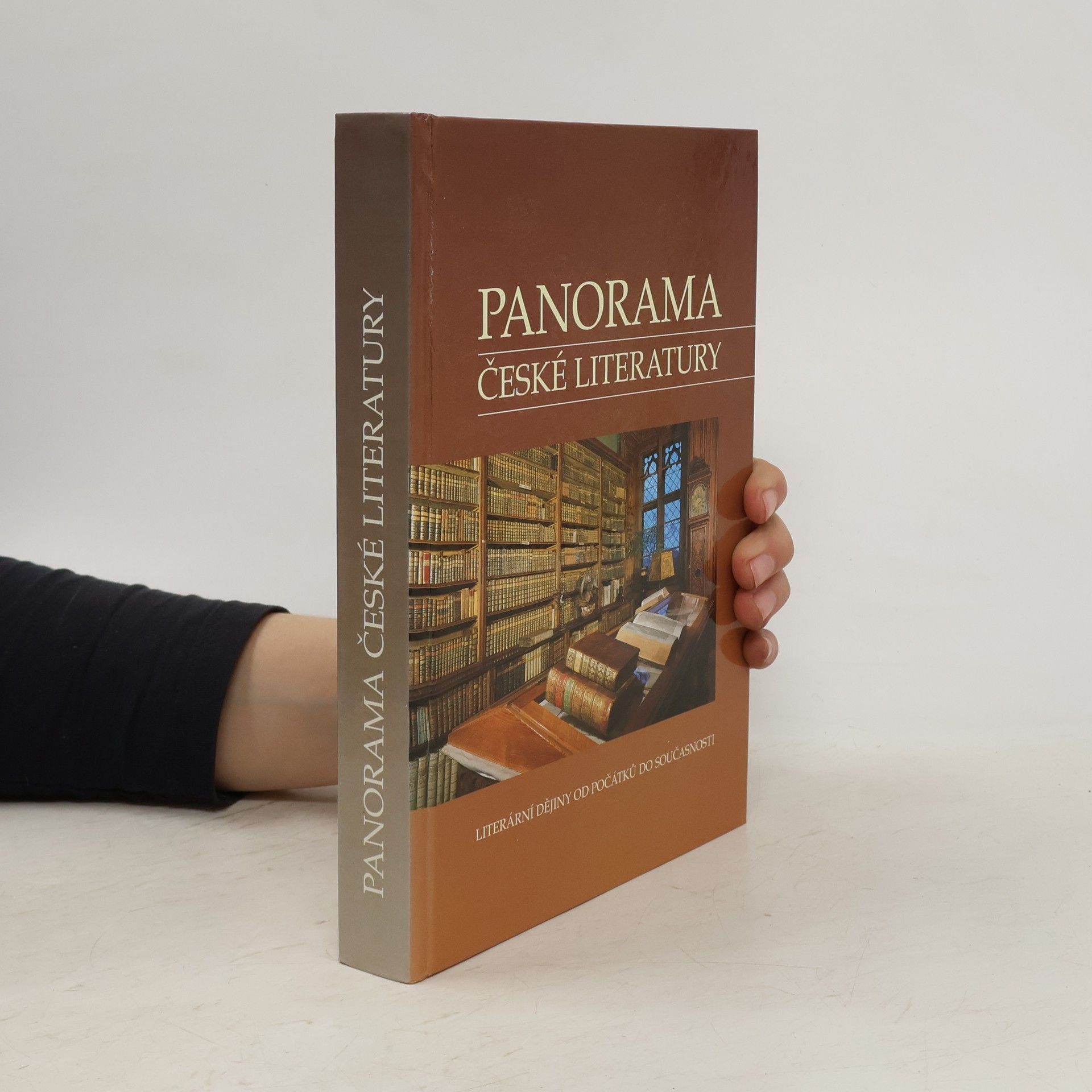 Josef Galík Panorama české literatury. Literární dějiny od počátků do současnosti