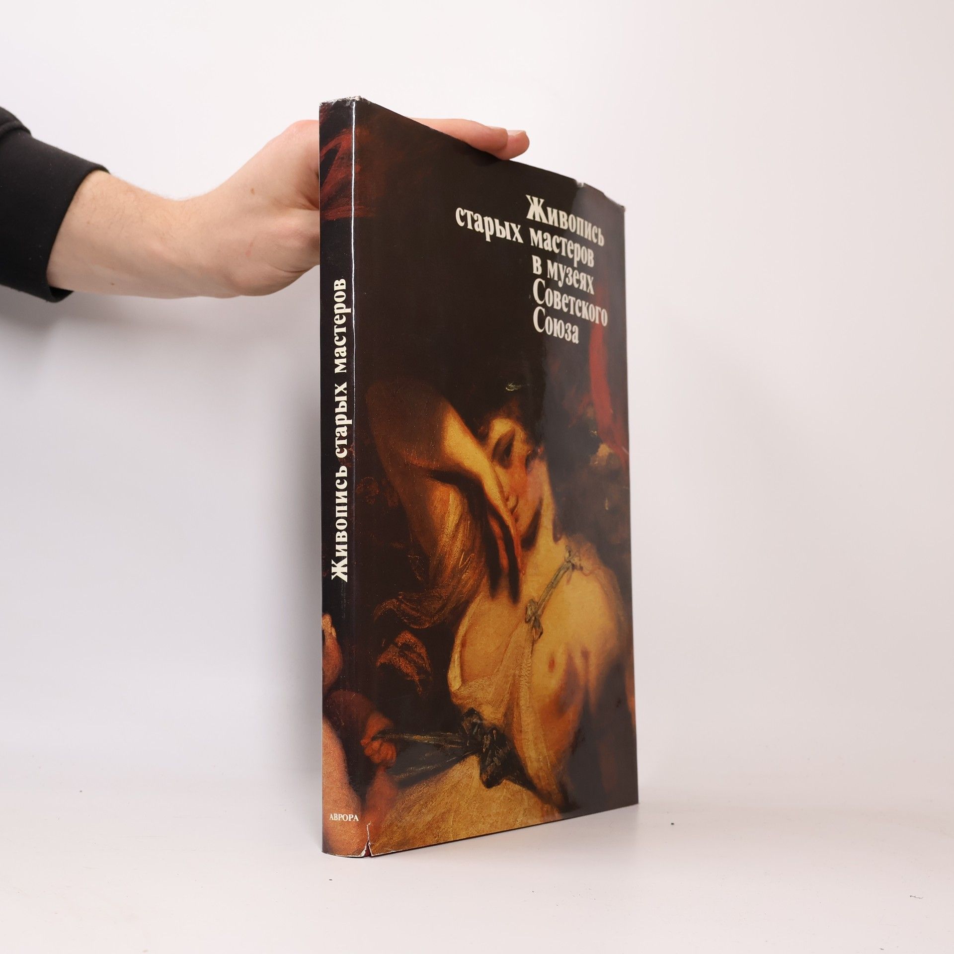 Irina Vladimirovna Linnik Живопись старых мастеров в музеях Советского Союза. Zhivopis' starykh masterov v muzeyakh Sovetskogo Soyuza
