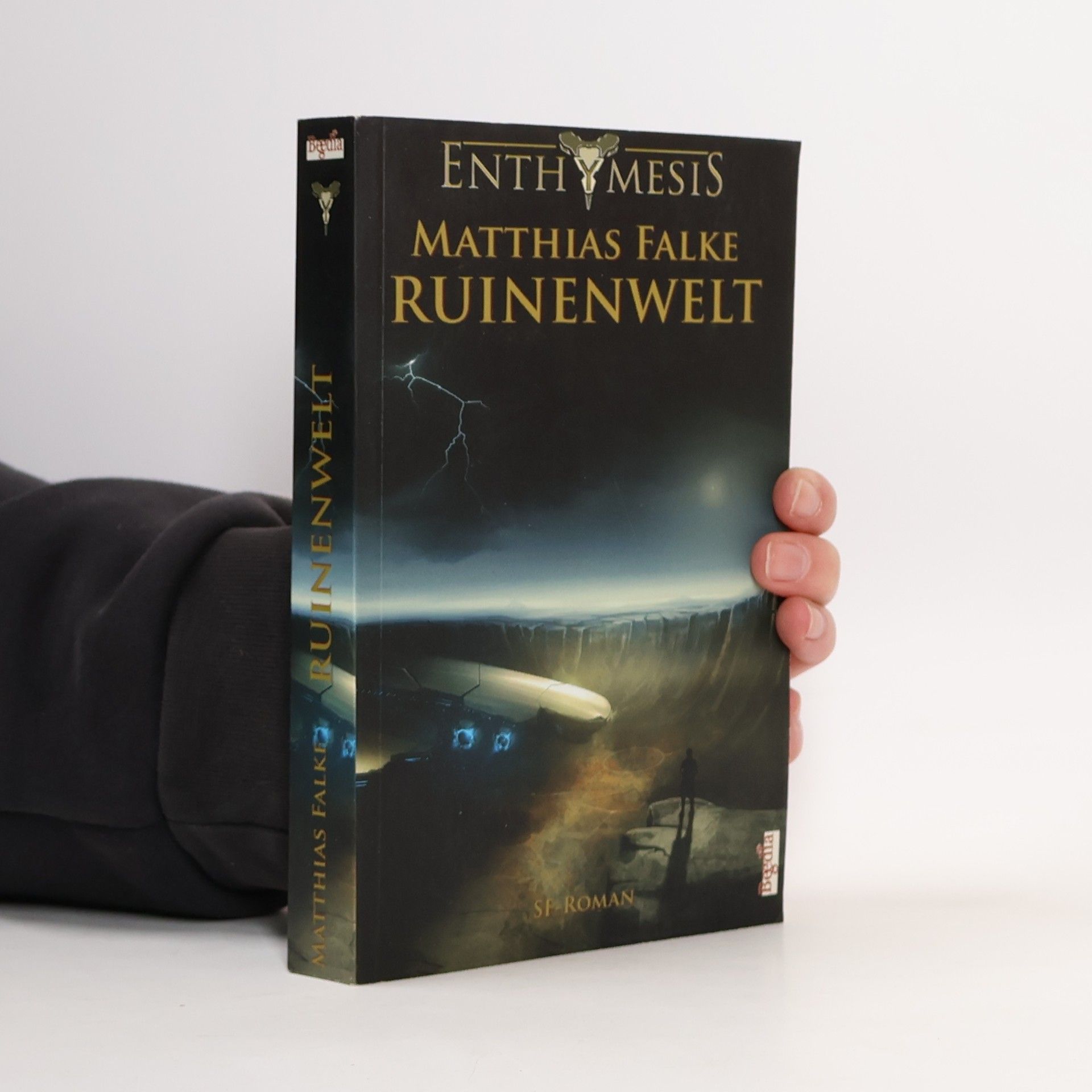 Matthias Falke Enthymesis, Ruinenwelt