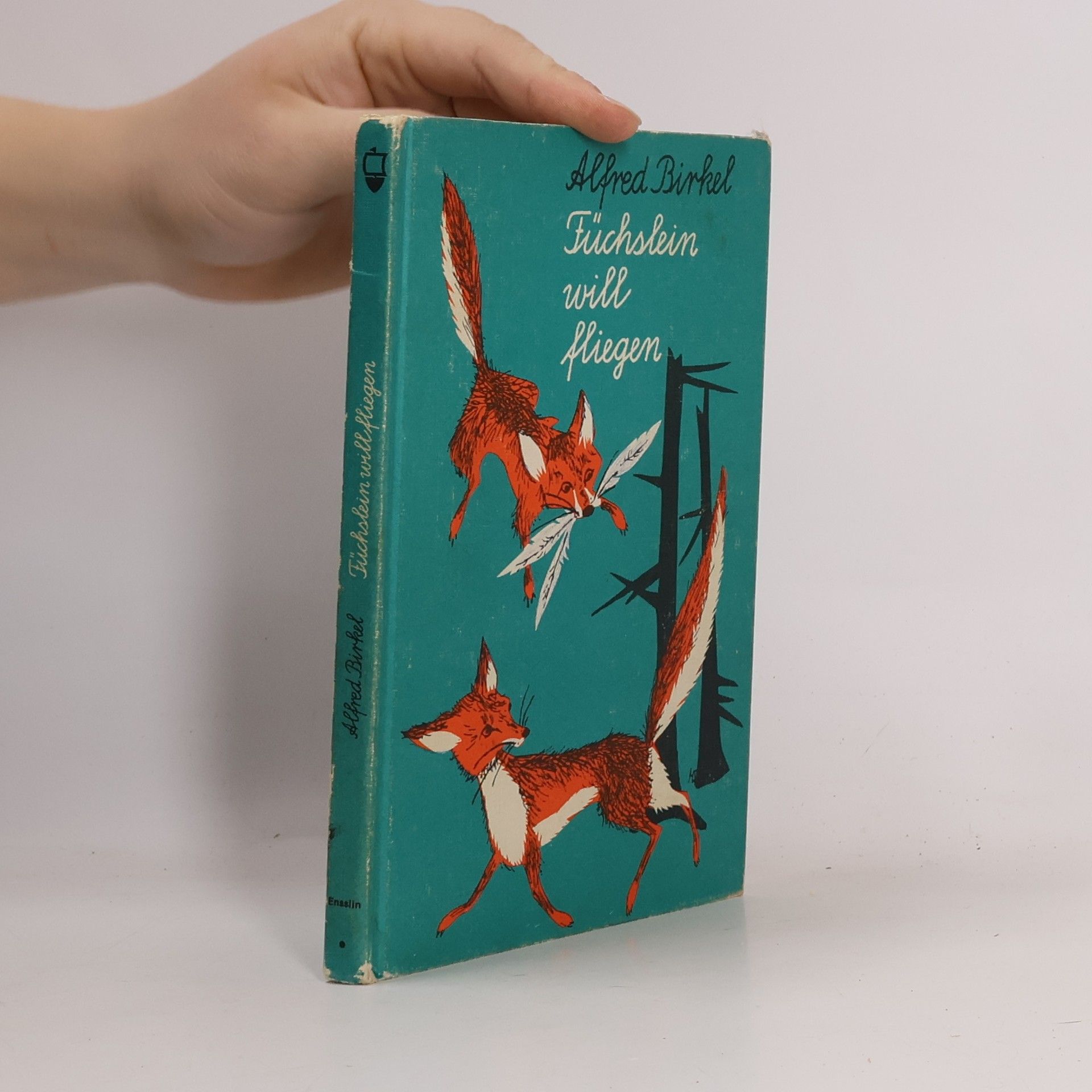 Alfred Birkel Füchslein will fliegen