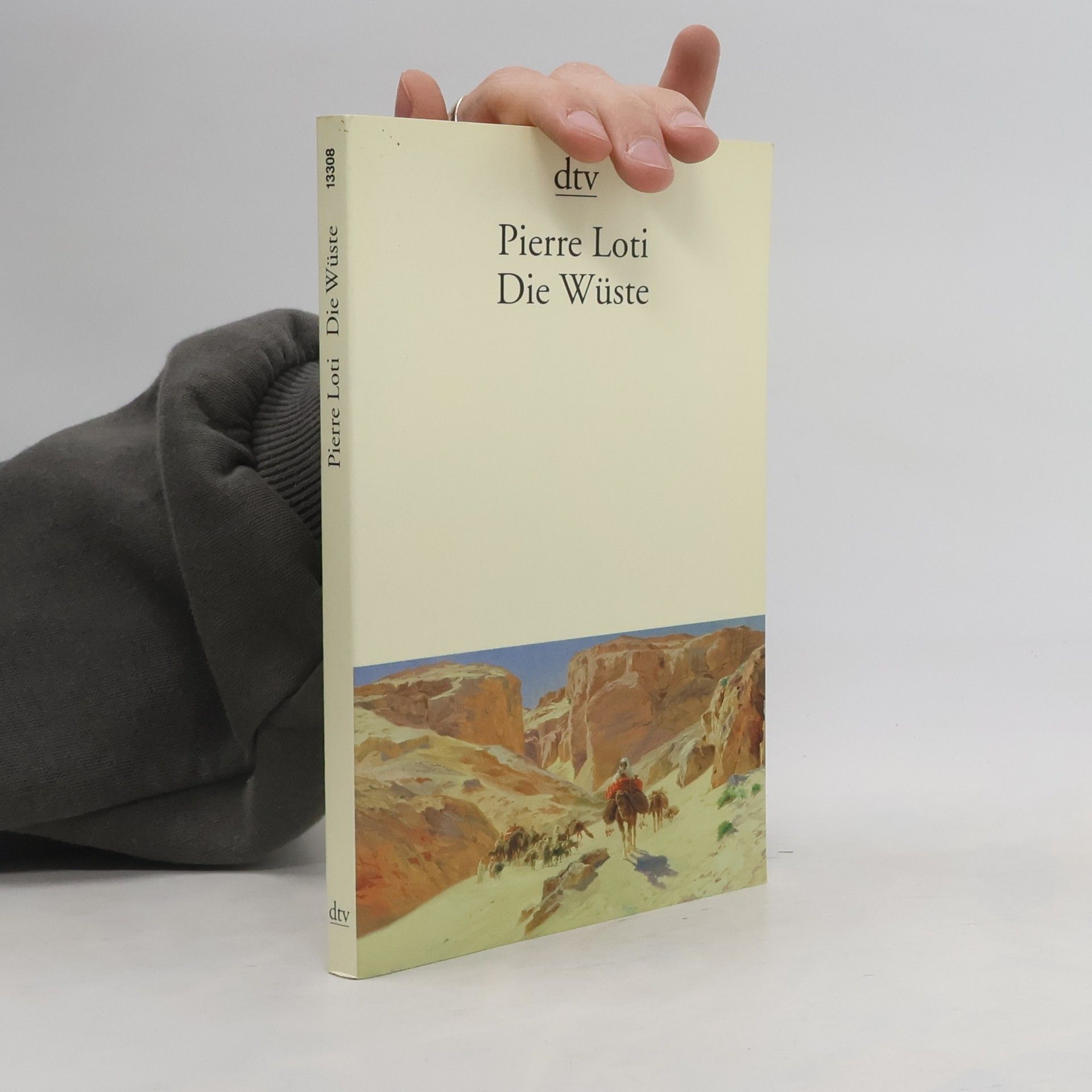Pierre Loti Die Wüste