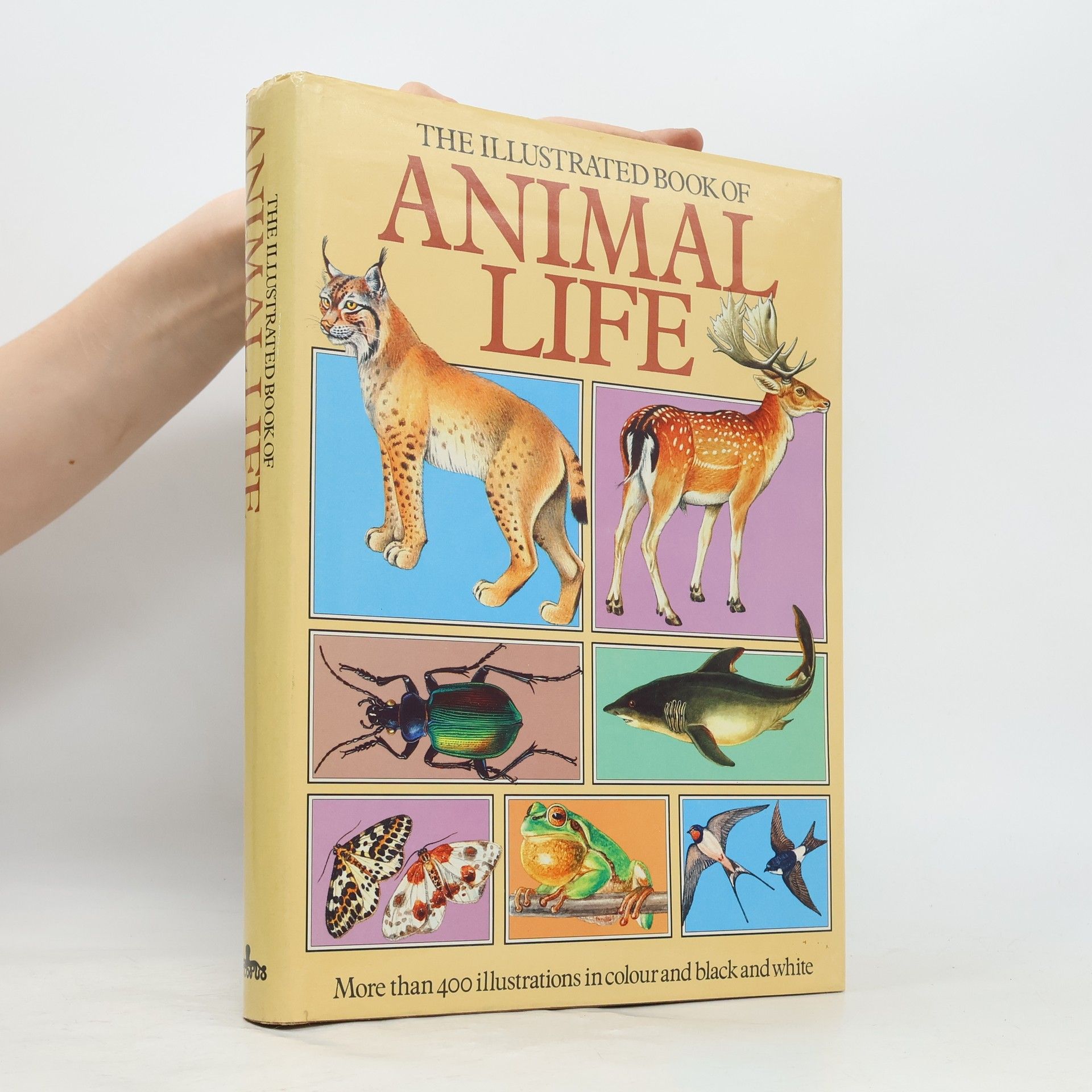 Jana Horáčková The Illustrated Book of Animal Life