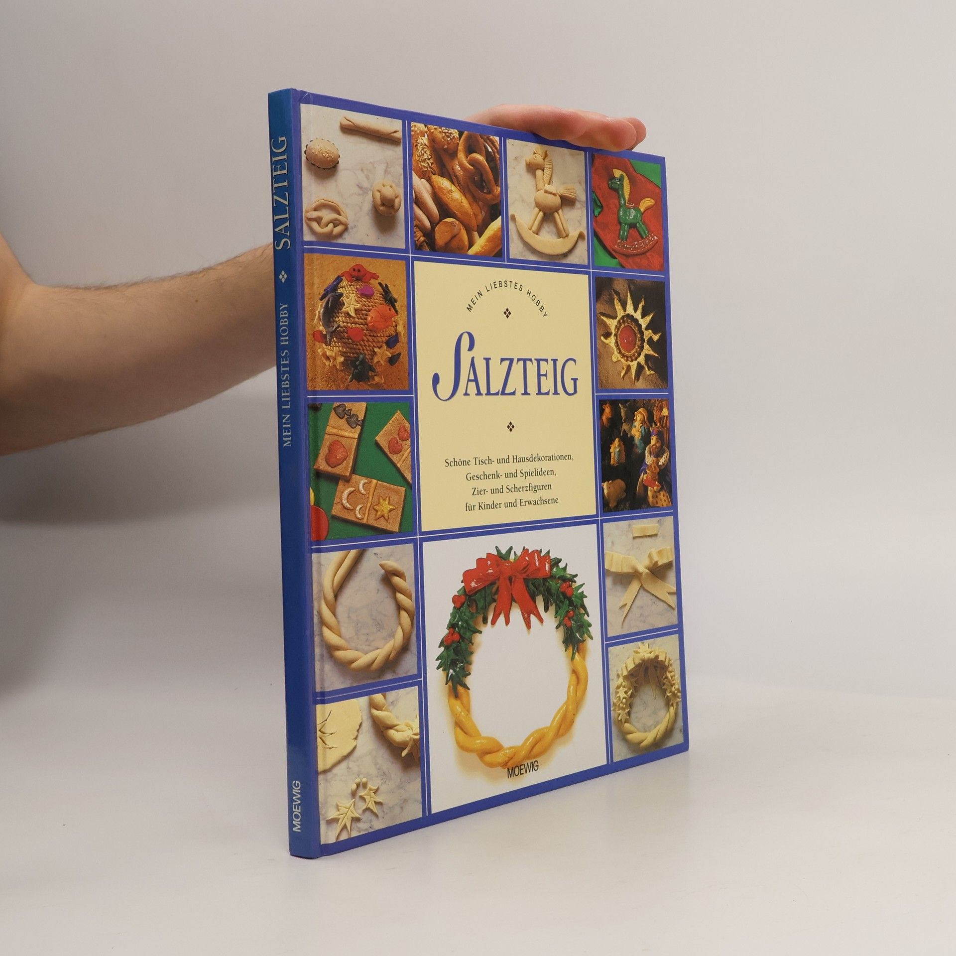 Kolektív autorov Salzteig