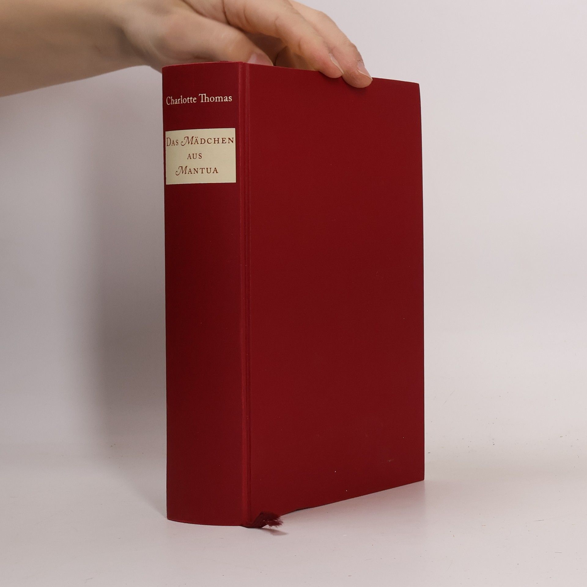 Charlotte Thomas Das Mädchen aus Mantua