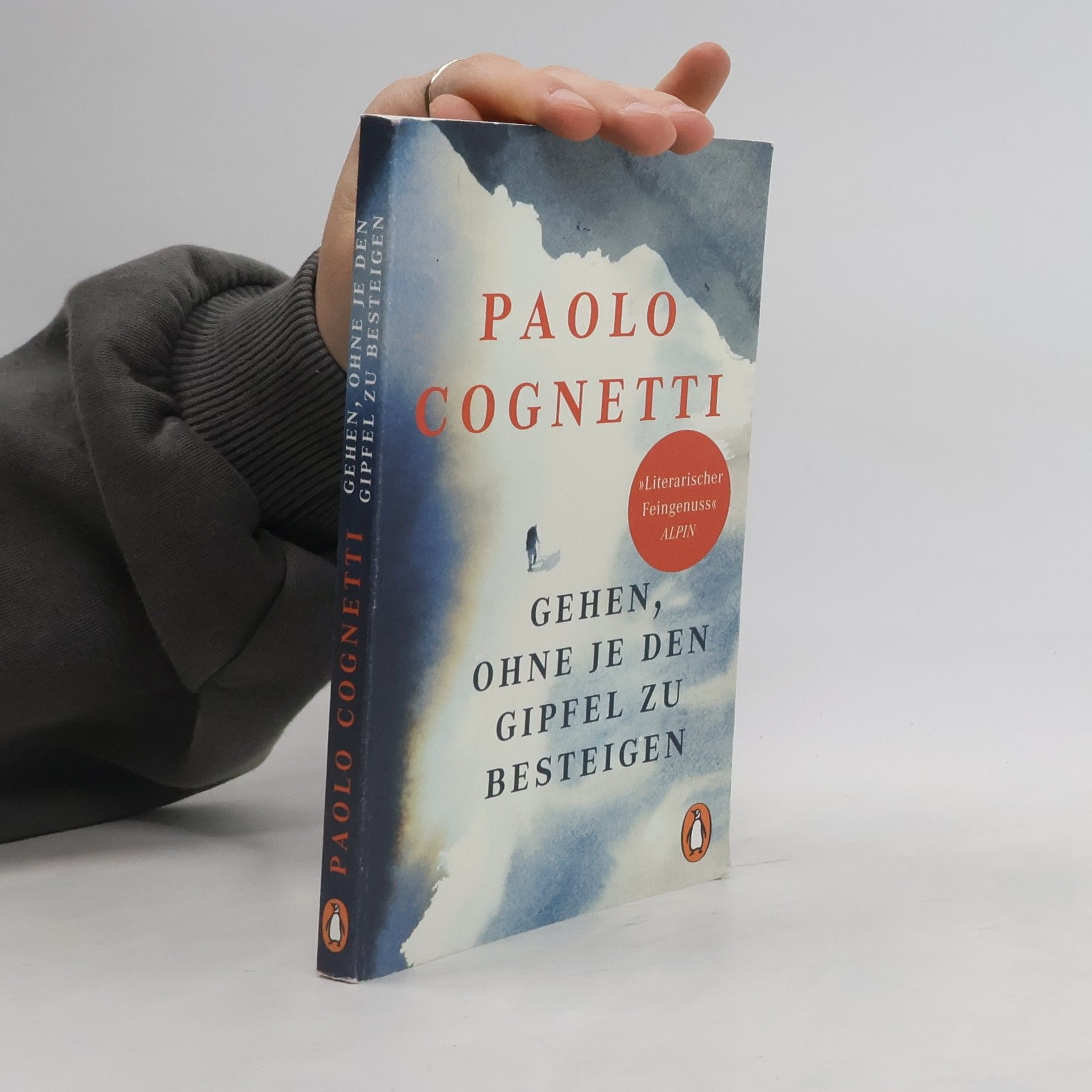 Paolo Cognetti Gehen, ohne je den Gipfel zu besteigen