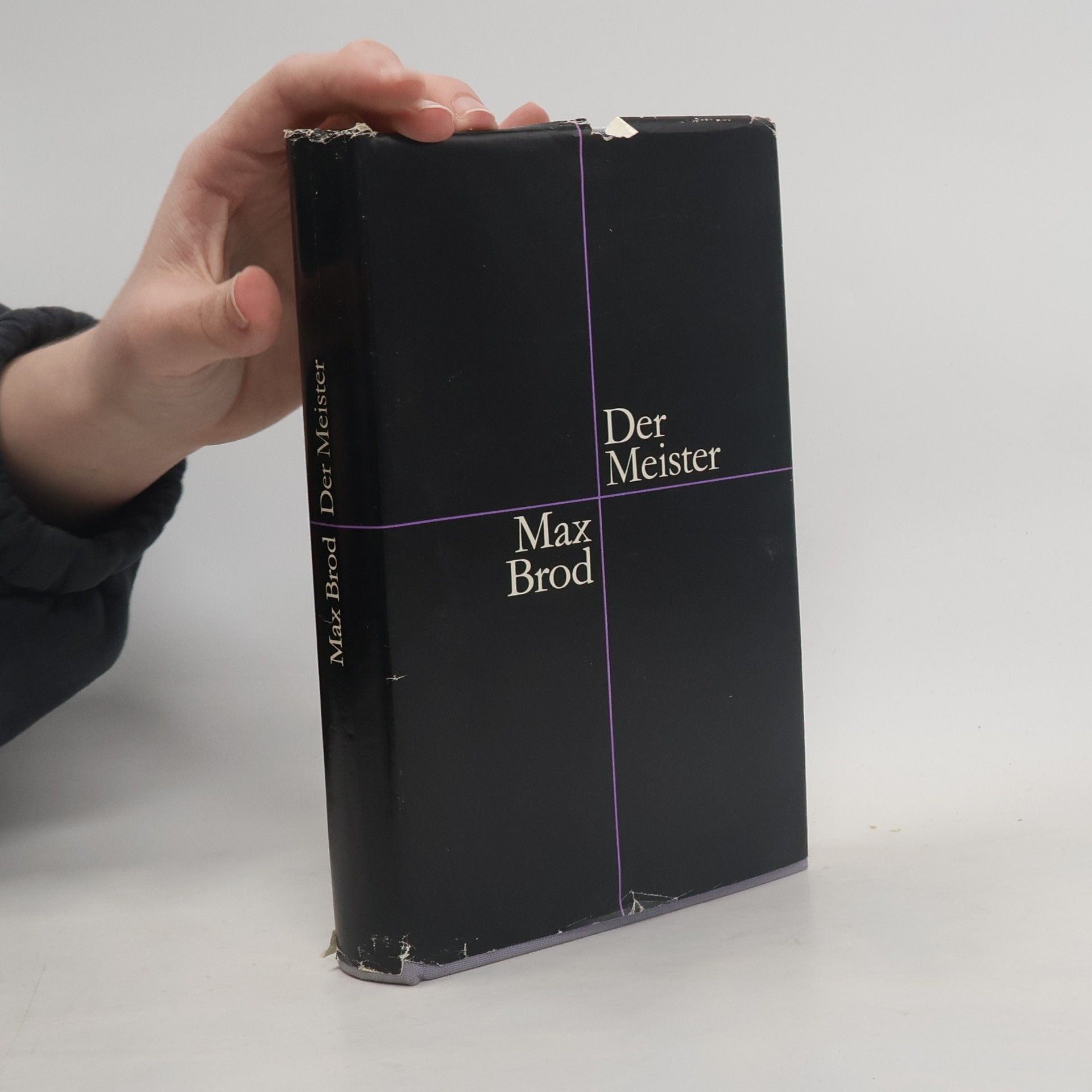 Max Brod Der Meister