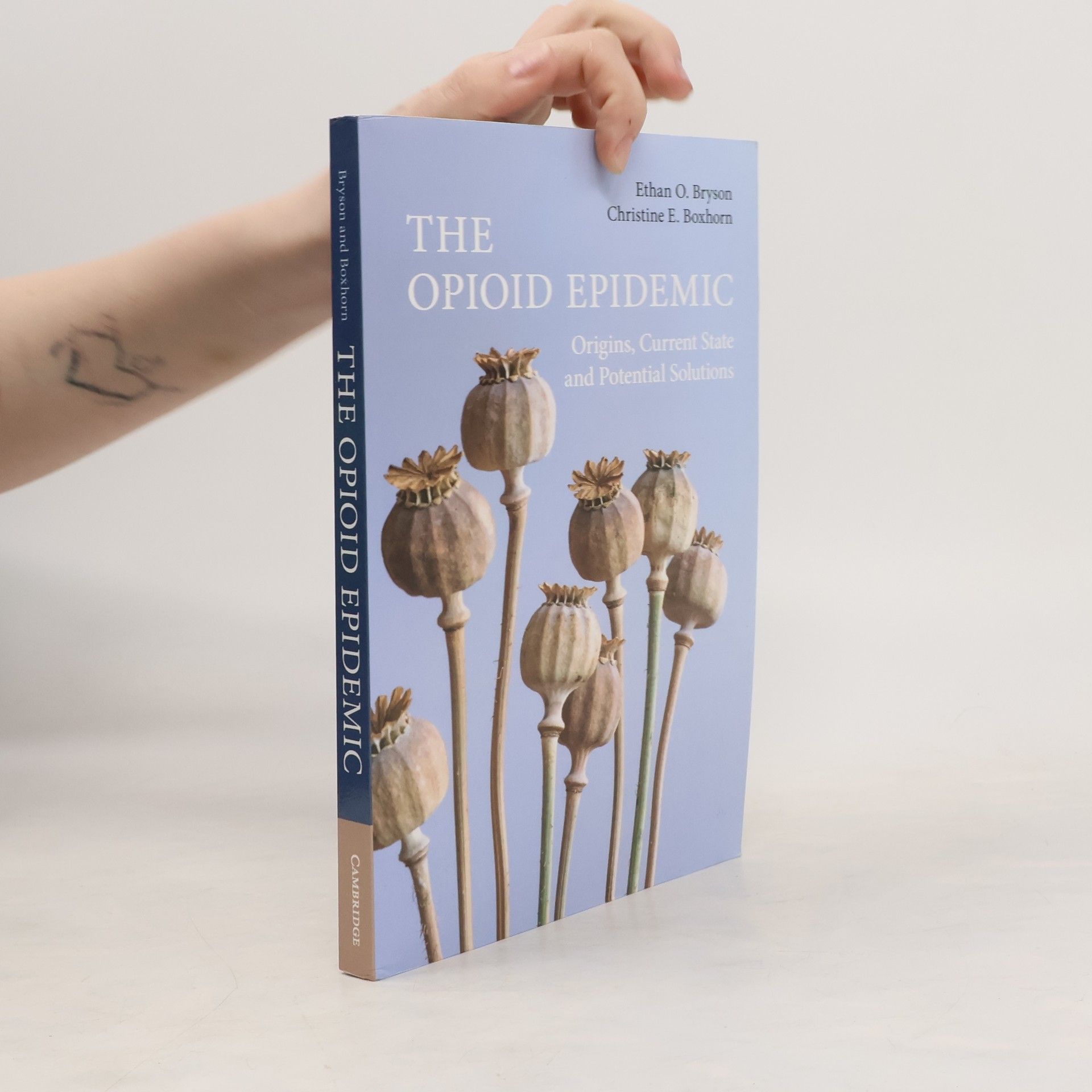 Ethan O Bryson The Opioid Epidemic