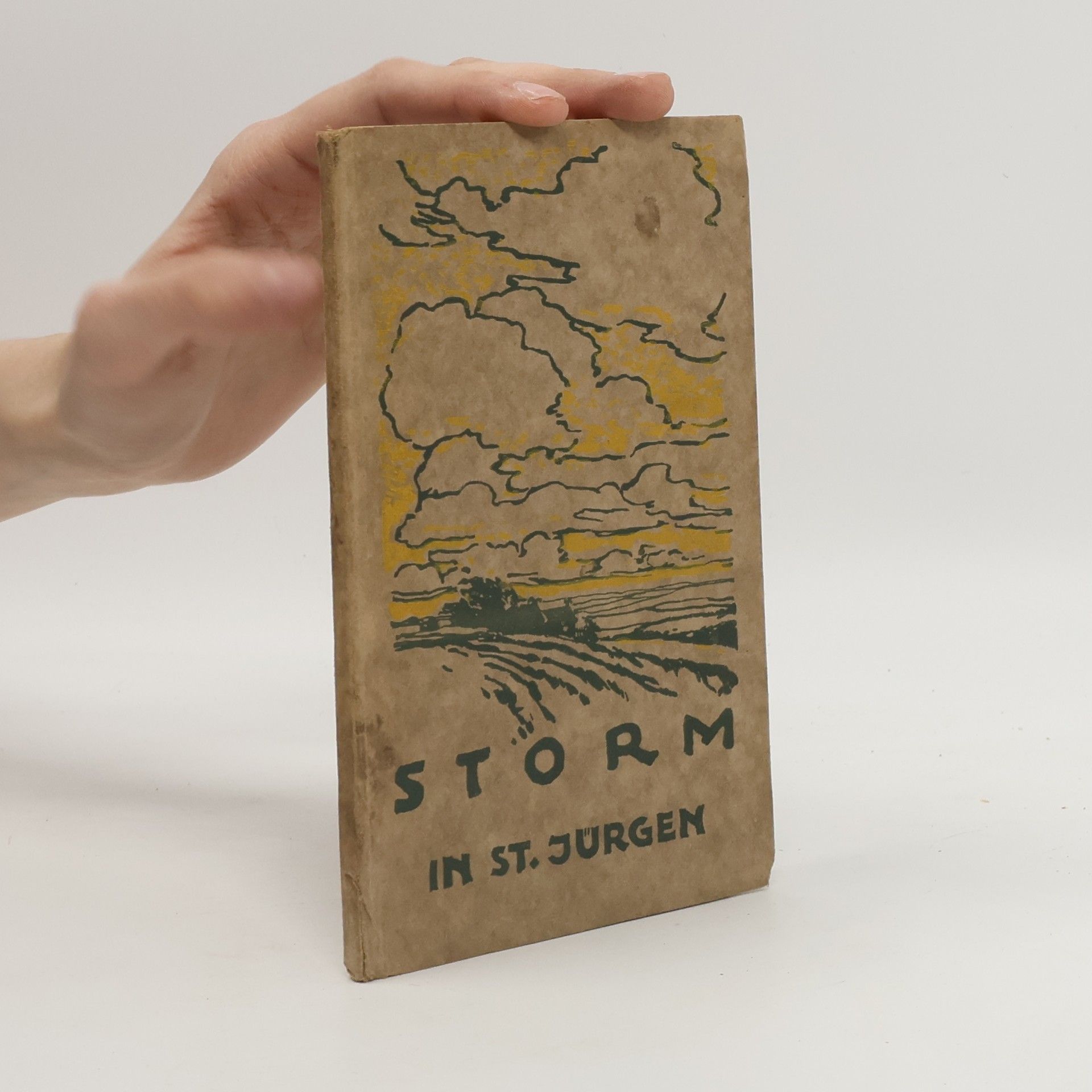 Theodor Storm In St. Jürgen