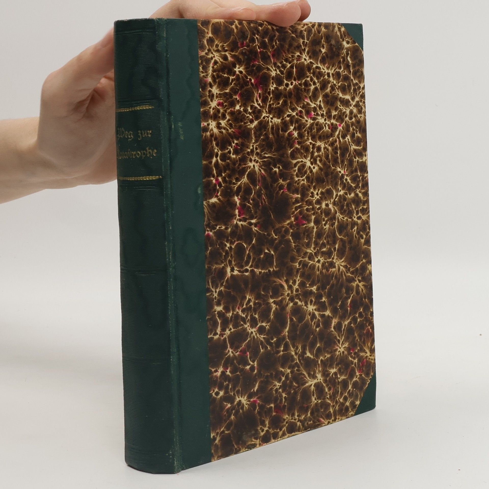 Der Weg zur Katastrophe