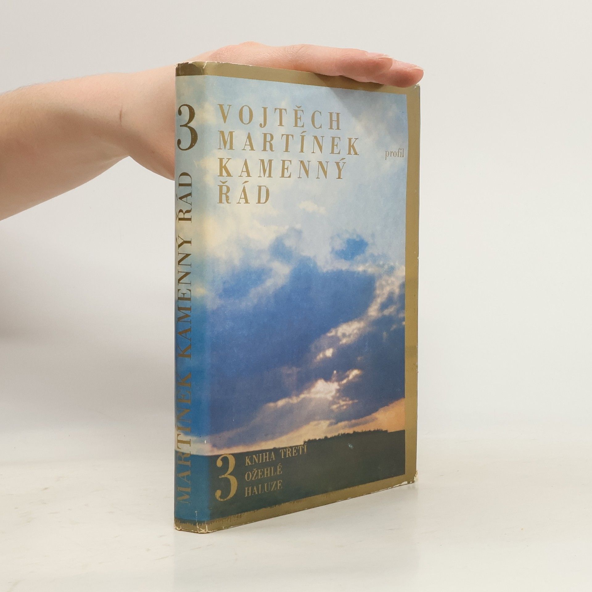 Vojtěch Martínek Kamenný řád 3