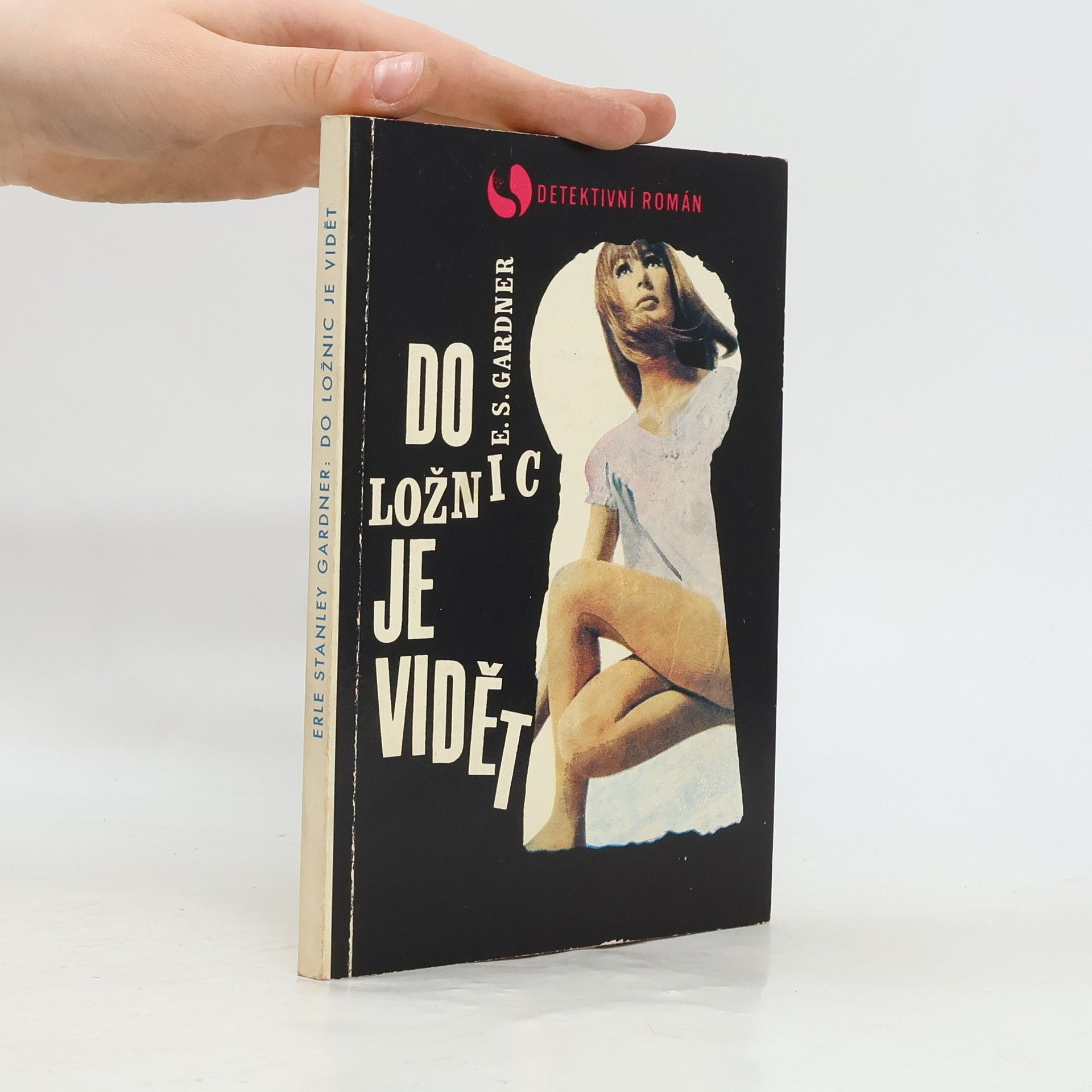 Erle Stanley Gardner Do ložnic je vidět