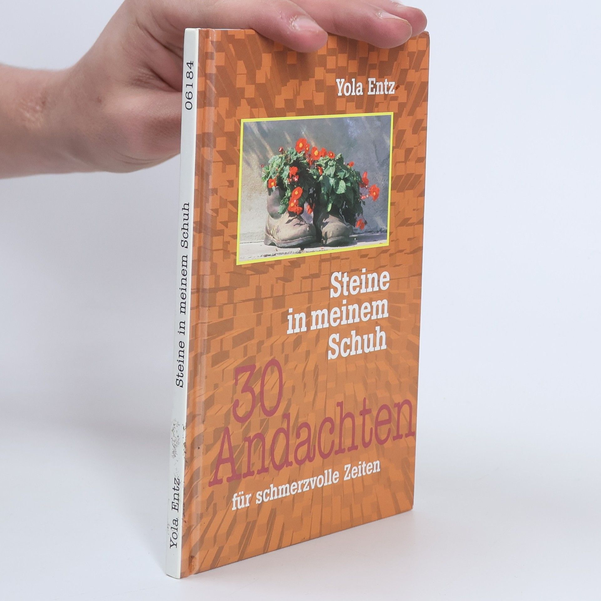 Steine in meinem Schuh