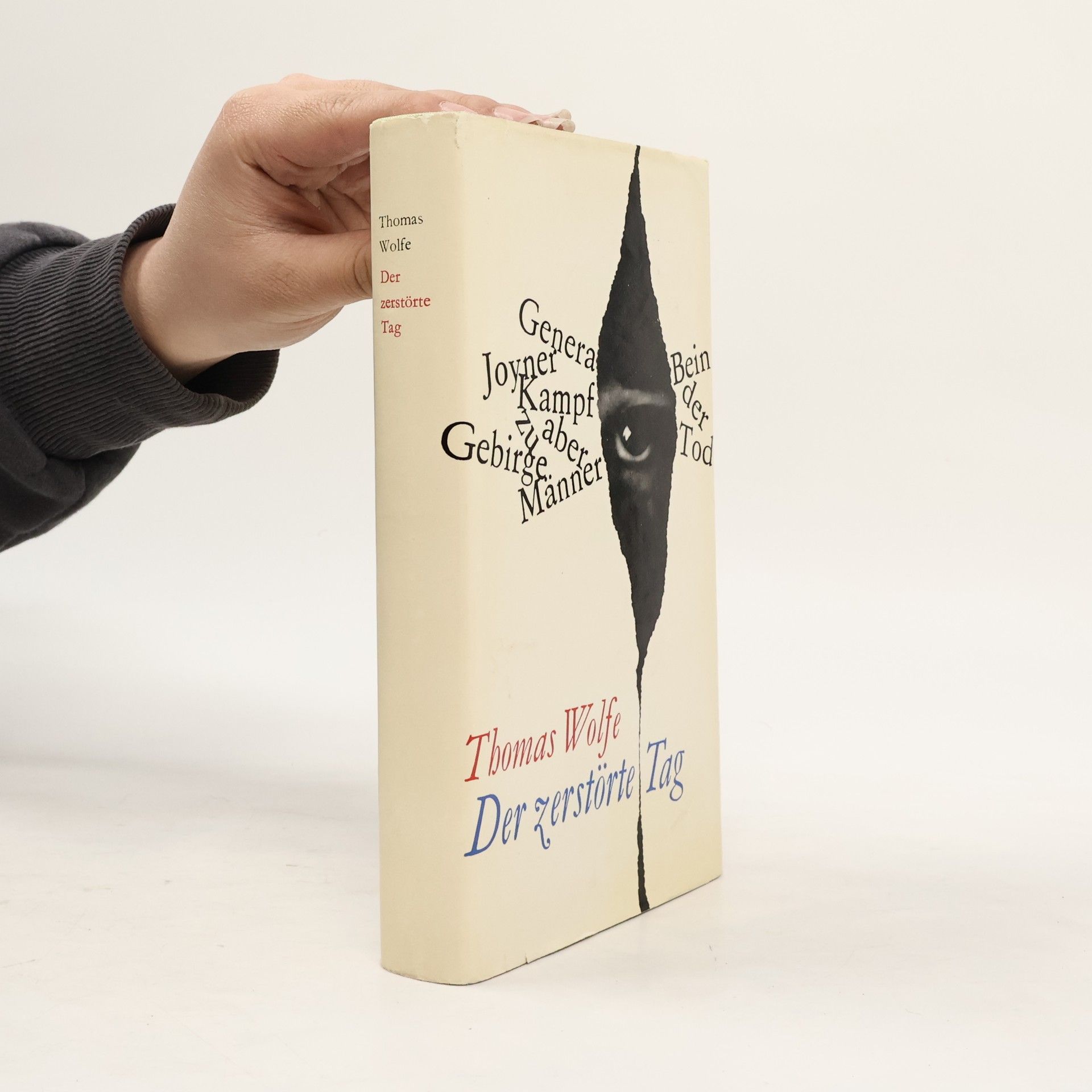 Wolfe Thomas Der zerstörte Tag