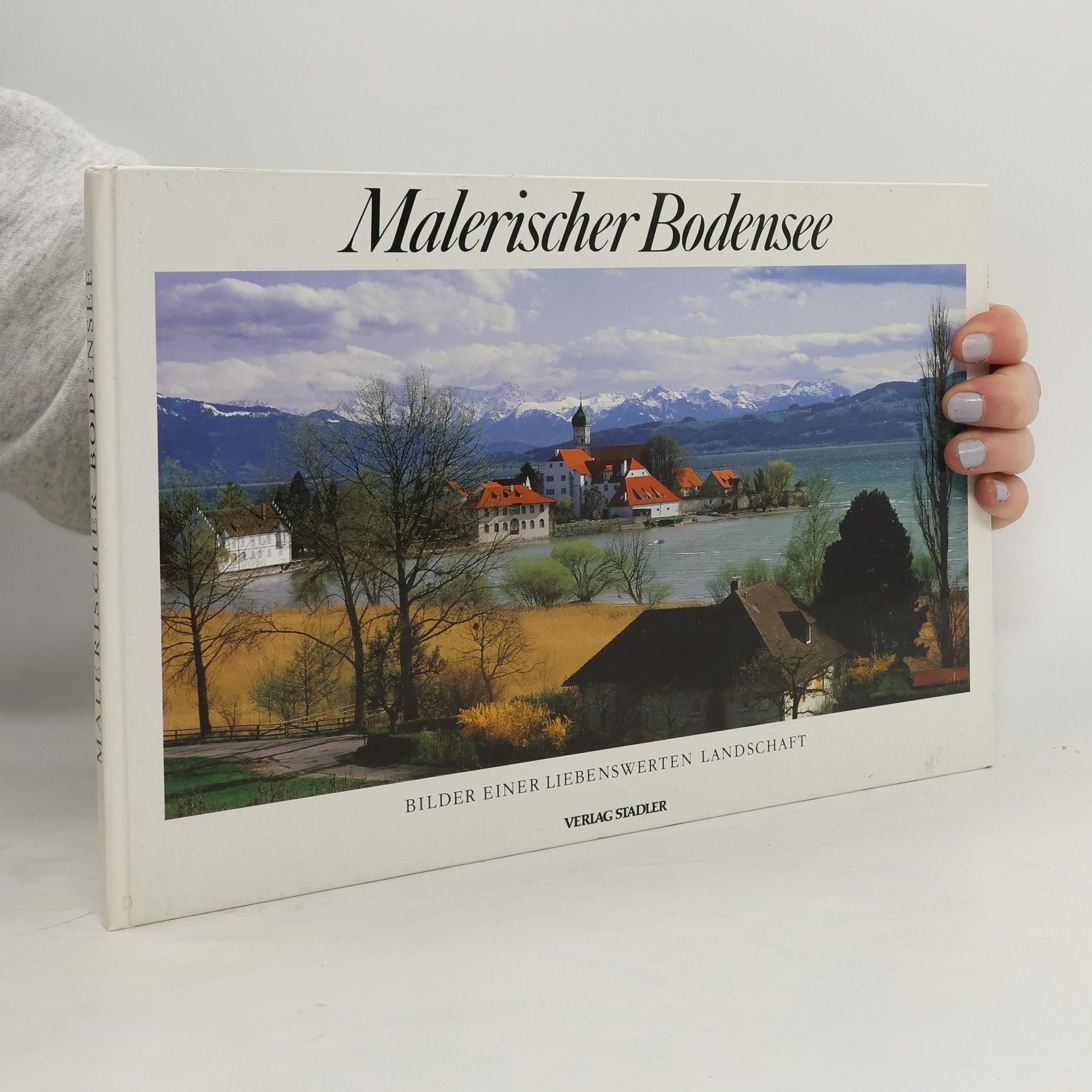 Mare Stahl Malerischer Bodensee