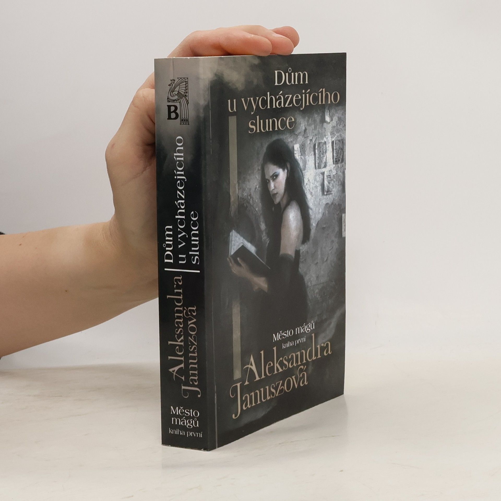 Aleksandra Janusz Dům u vycházejícího slunce. Město mágů 1