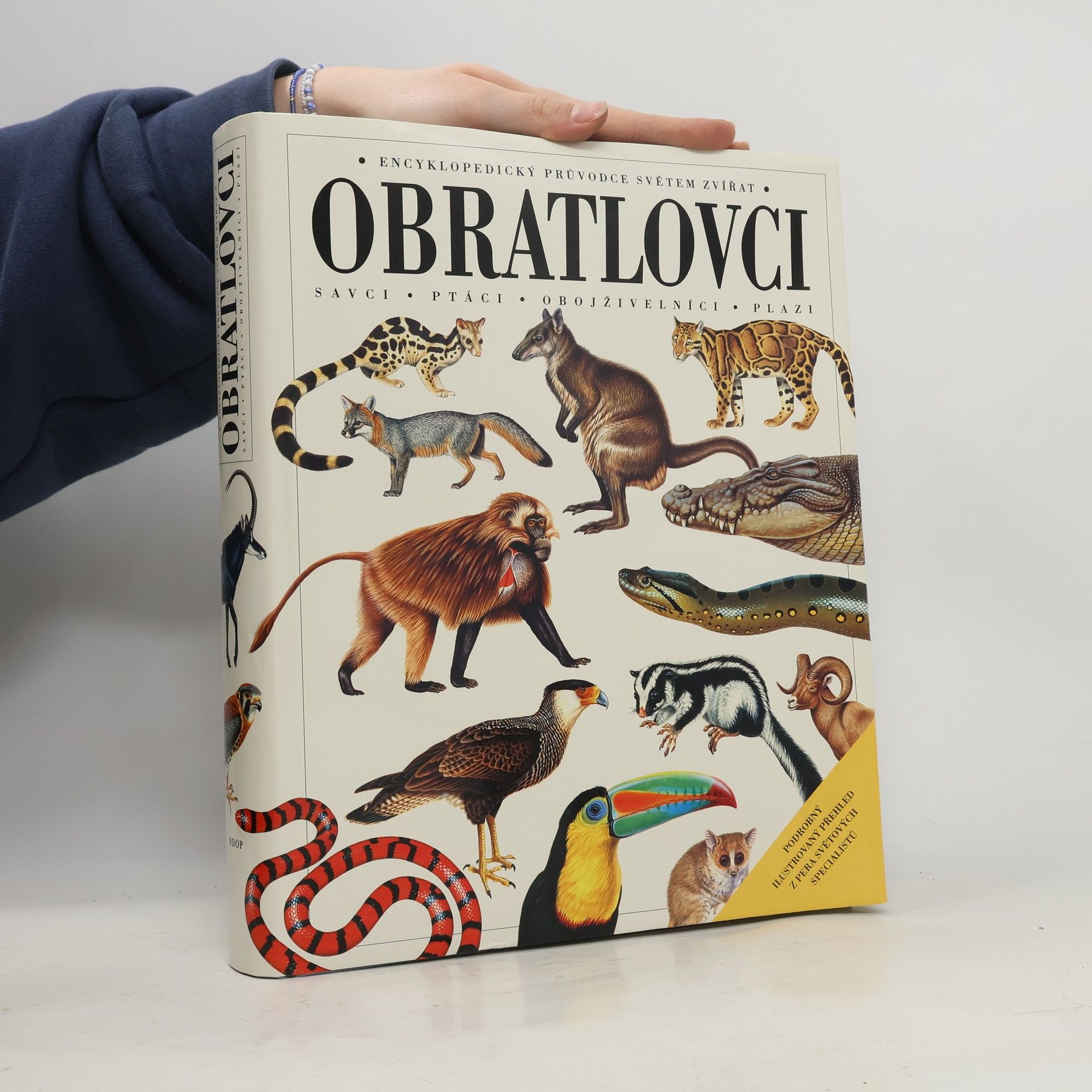 Harold G. Cogger Obratlovci : savci, ptáci, obojživelníci, plazi : encyklopedický průvodce světem zvířat