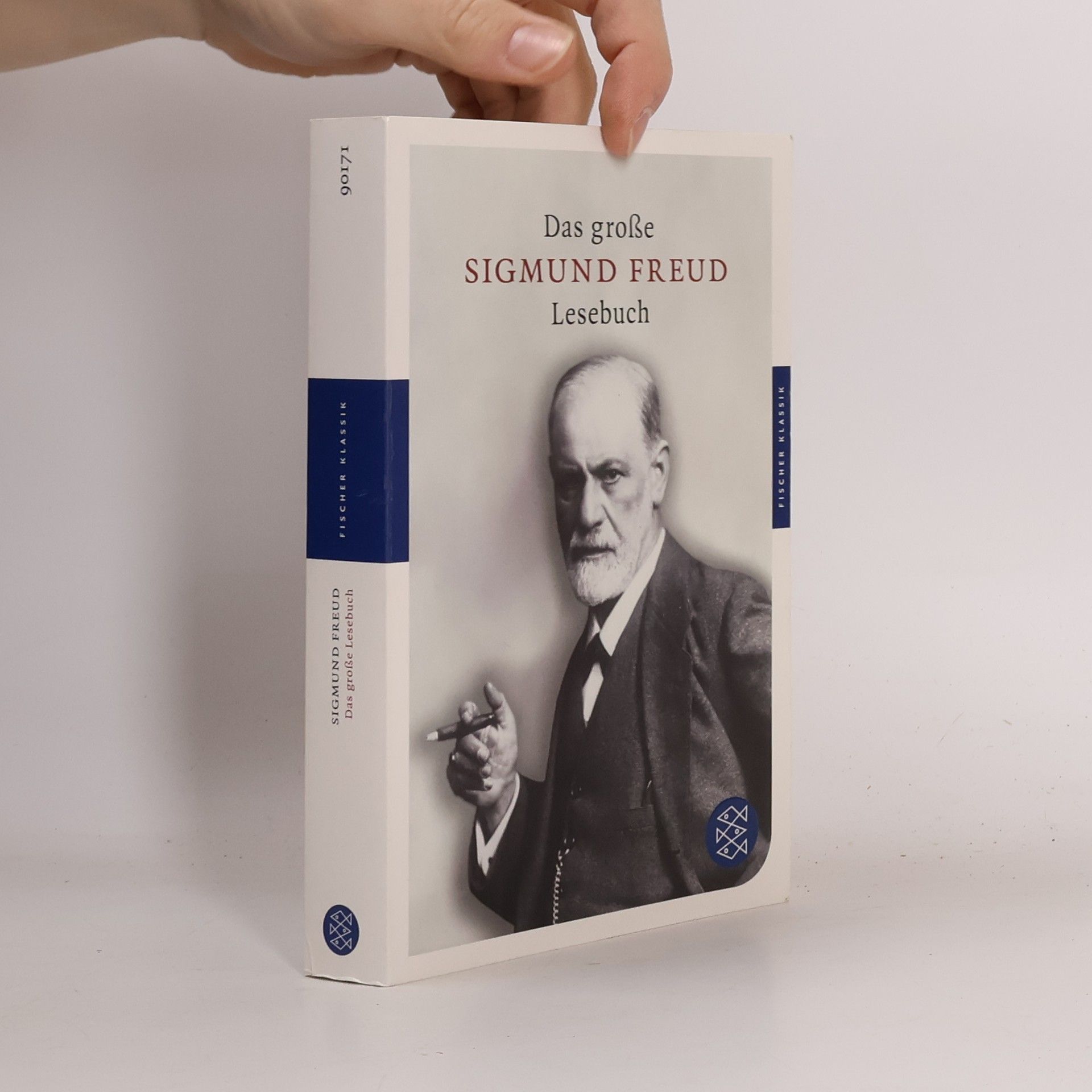 Sigmund Freud Das große Lesebuch