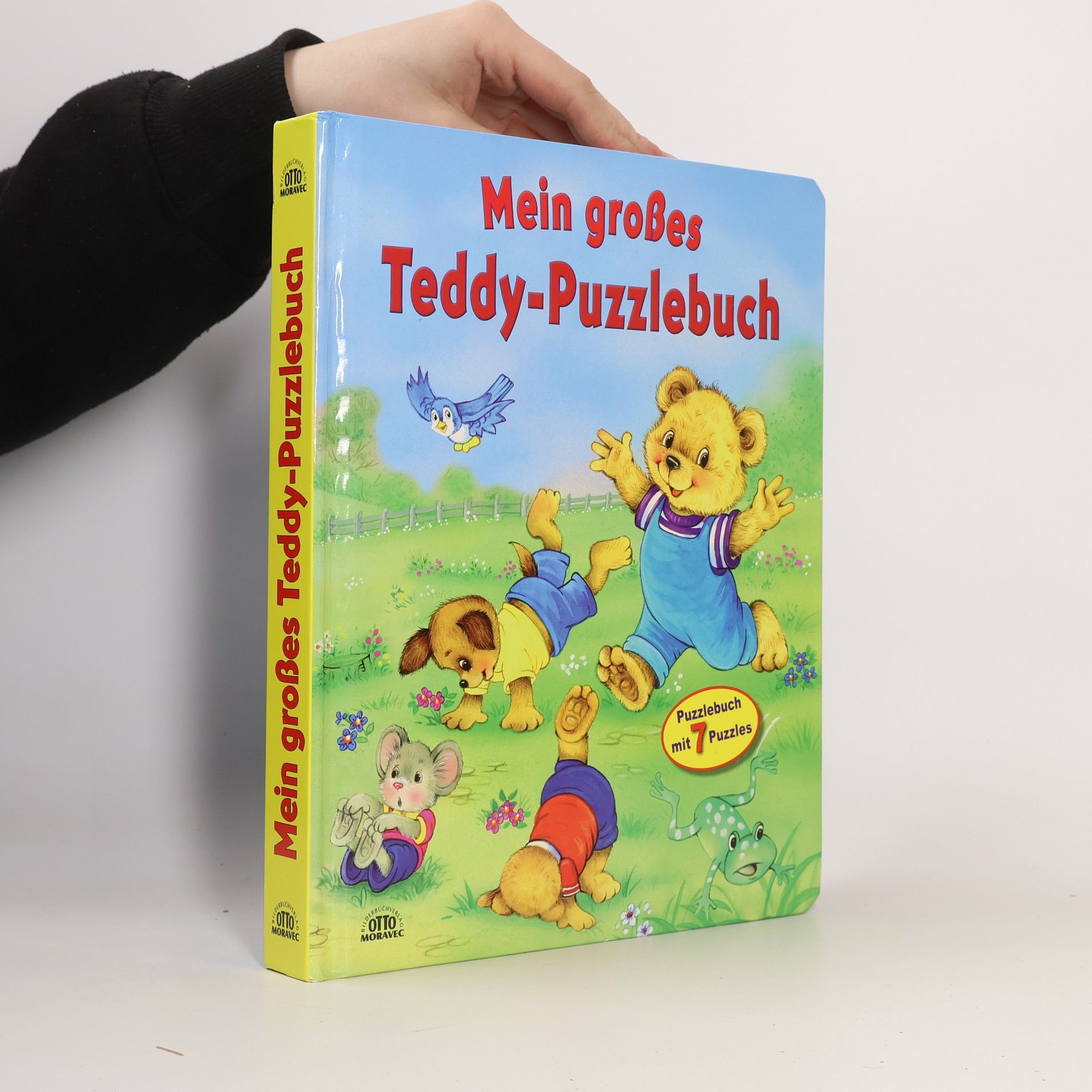 Auteurscollectief Mein großes Teddy-Puzzlebuch