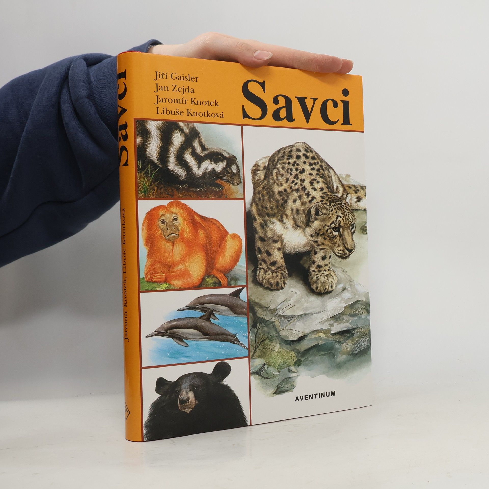 Jiří Gaisler Savci