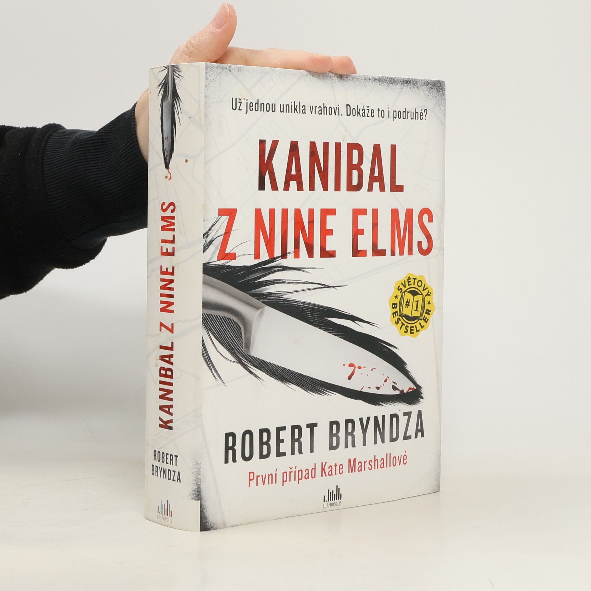 Robert Bryndza Kanibal z Nine Elms