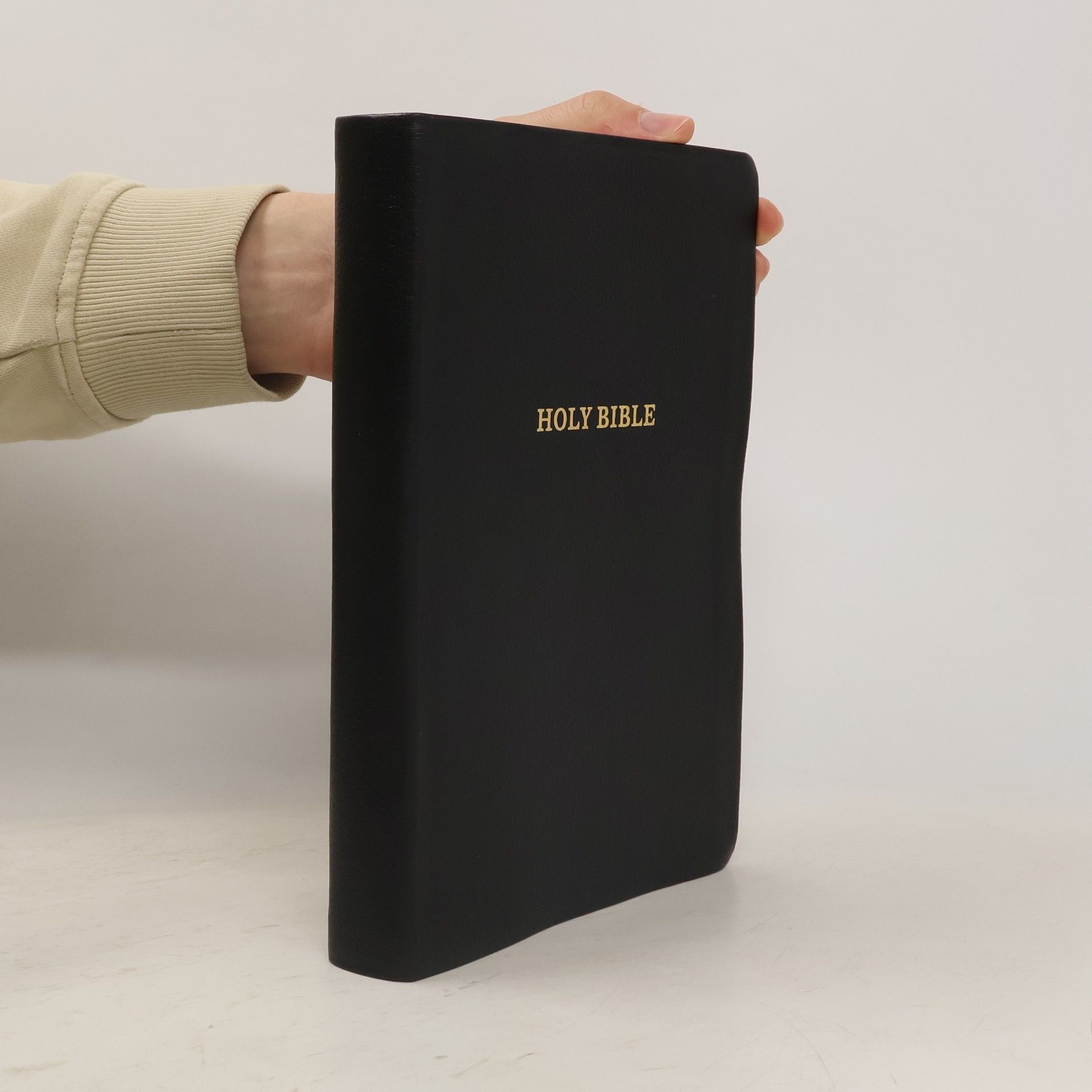 Autorenkollektiv The Holy Bible