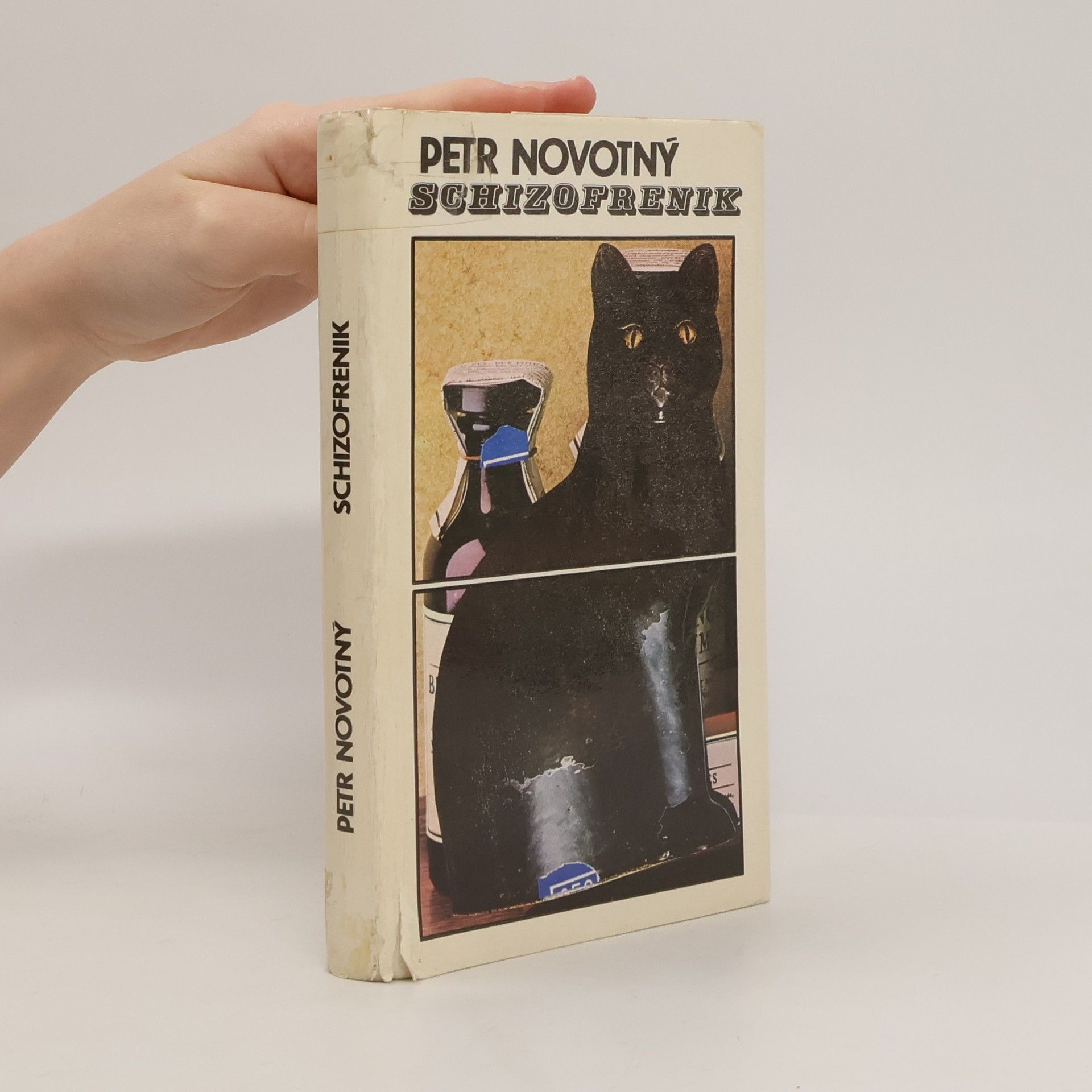 Peter Novotný Schizofrenik