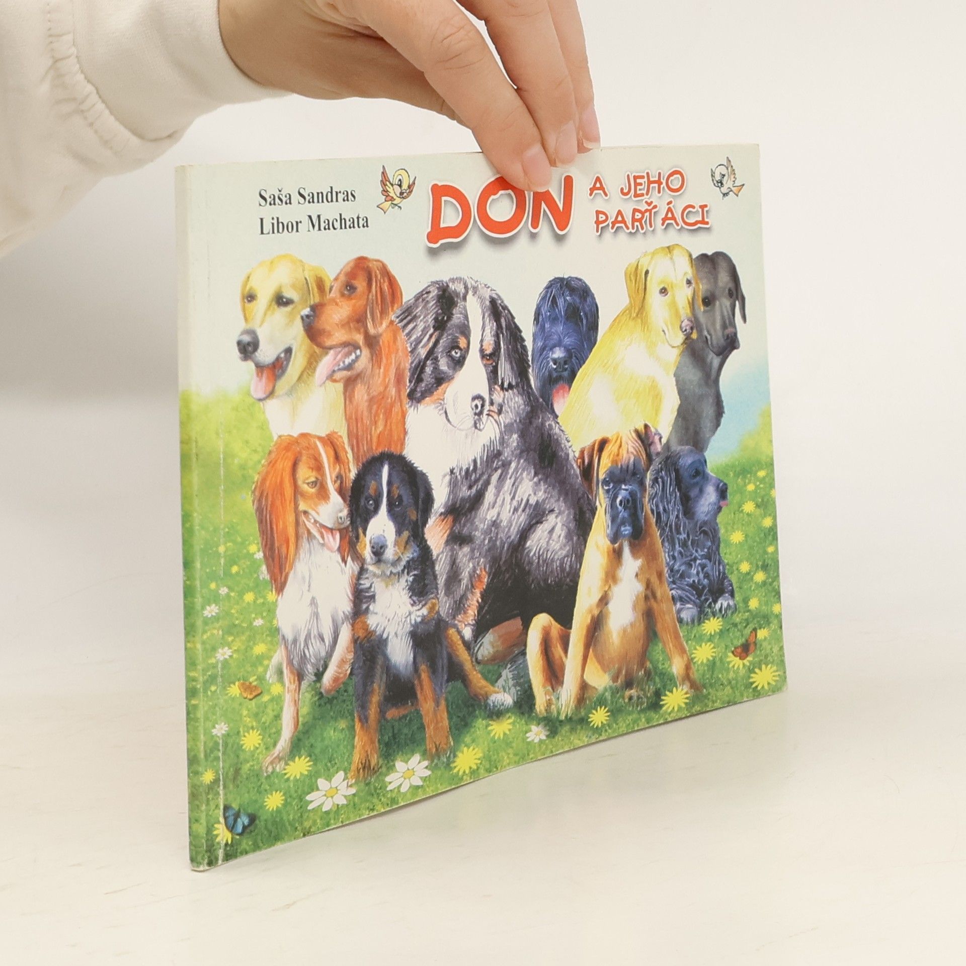 Don a jeho parťáci