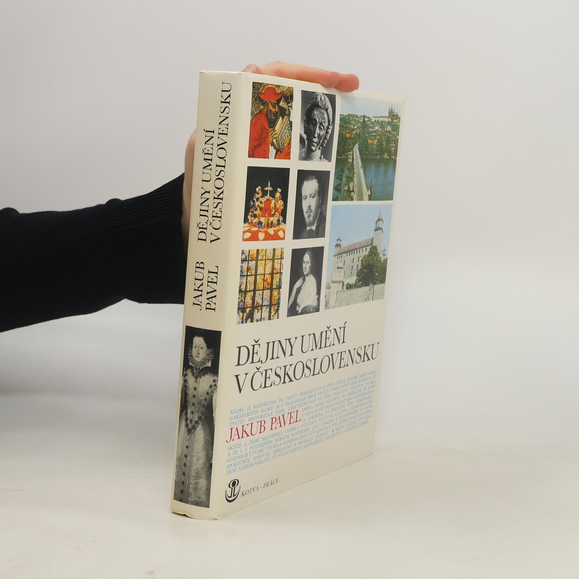 Jakub Pavel Dějiny umění v Československu