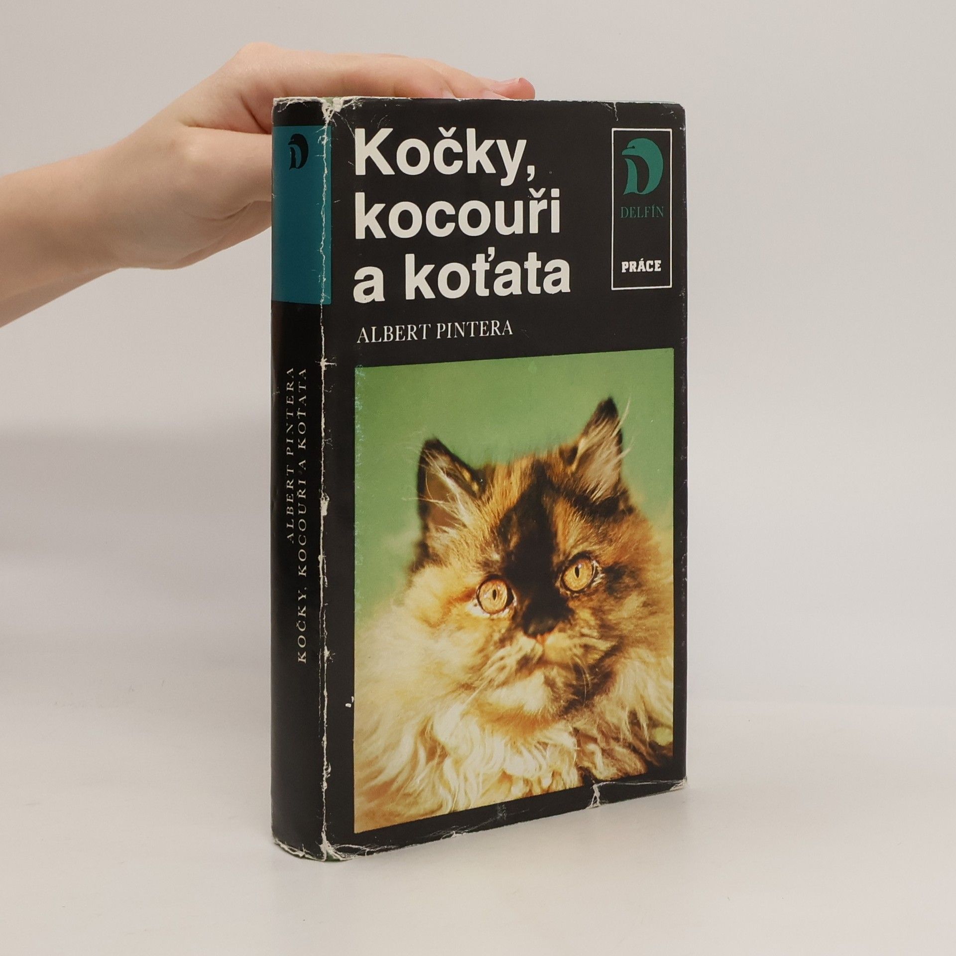 Albert Pintera Kočky, kocouři a koťata