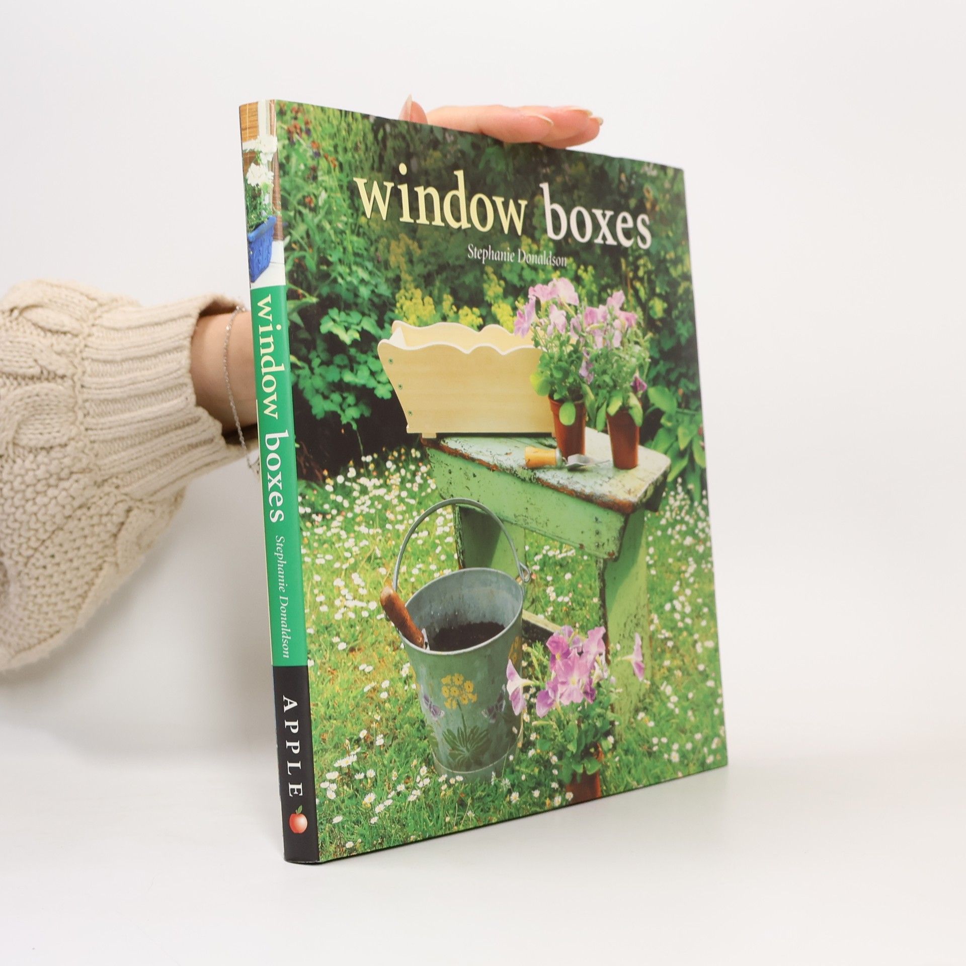 Stephanie Donaldson Window Boxes