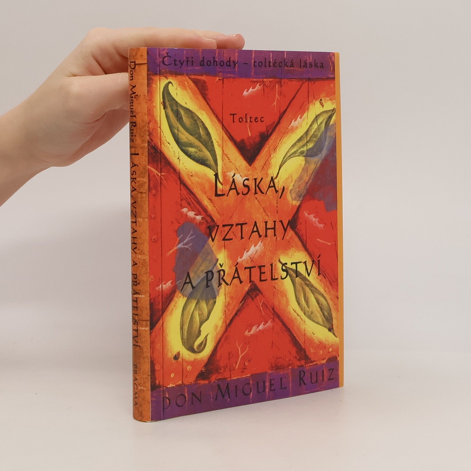 Don Miguel Ruiz Láska, vztahy a přátelství