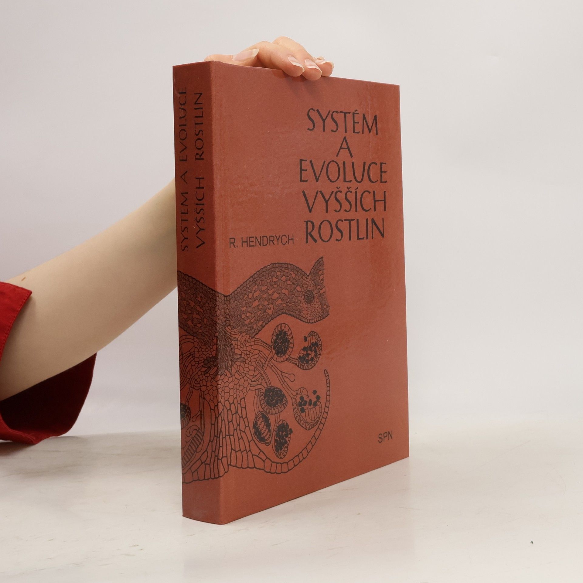 Radovan Hendrych Systém a evoluce vyšších rostlin