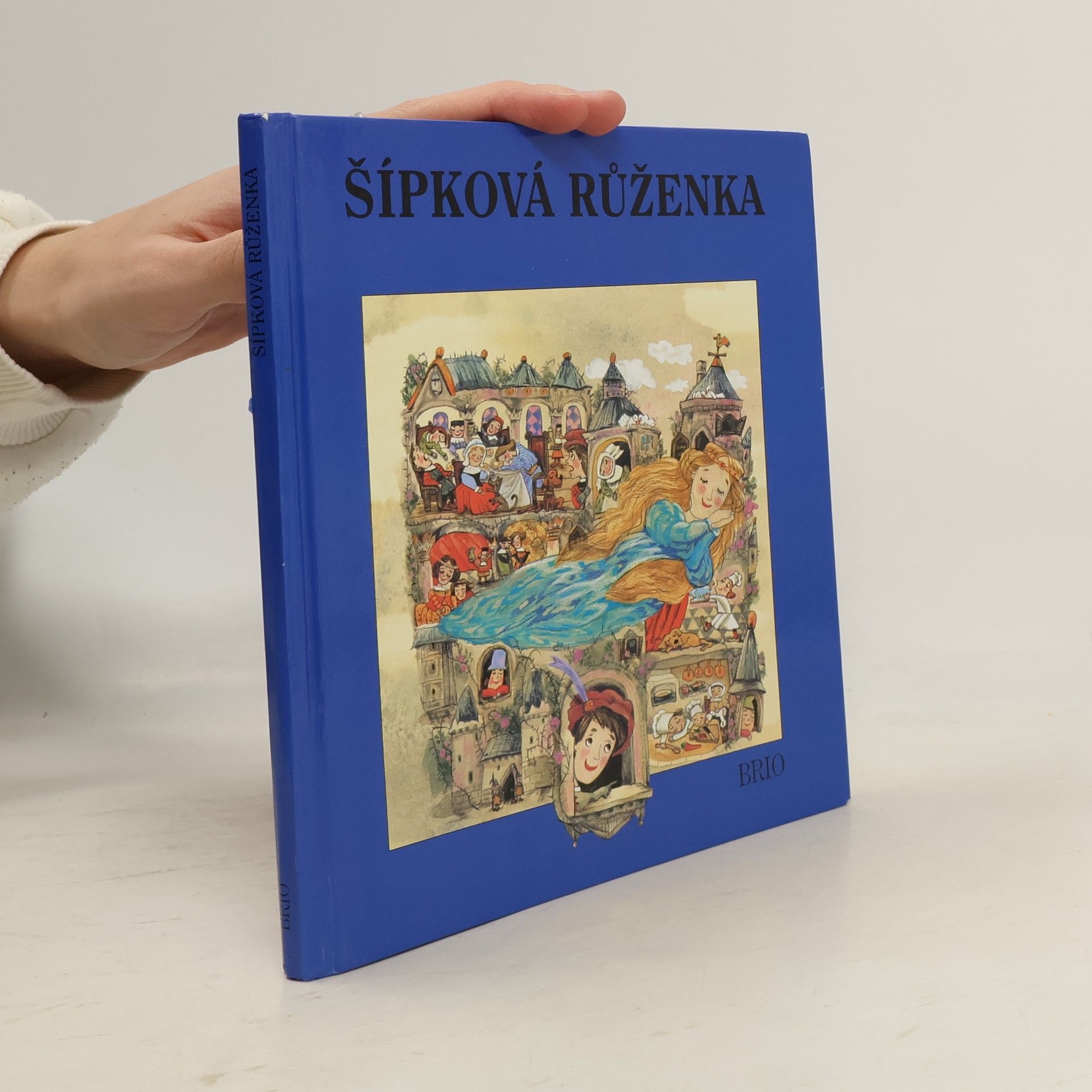 Eva Sýkorová-Pekárková Šípková Růženka