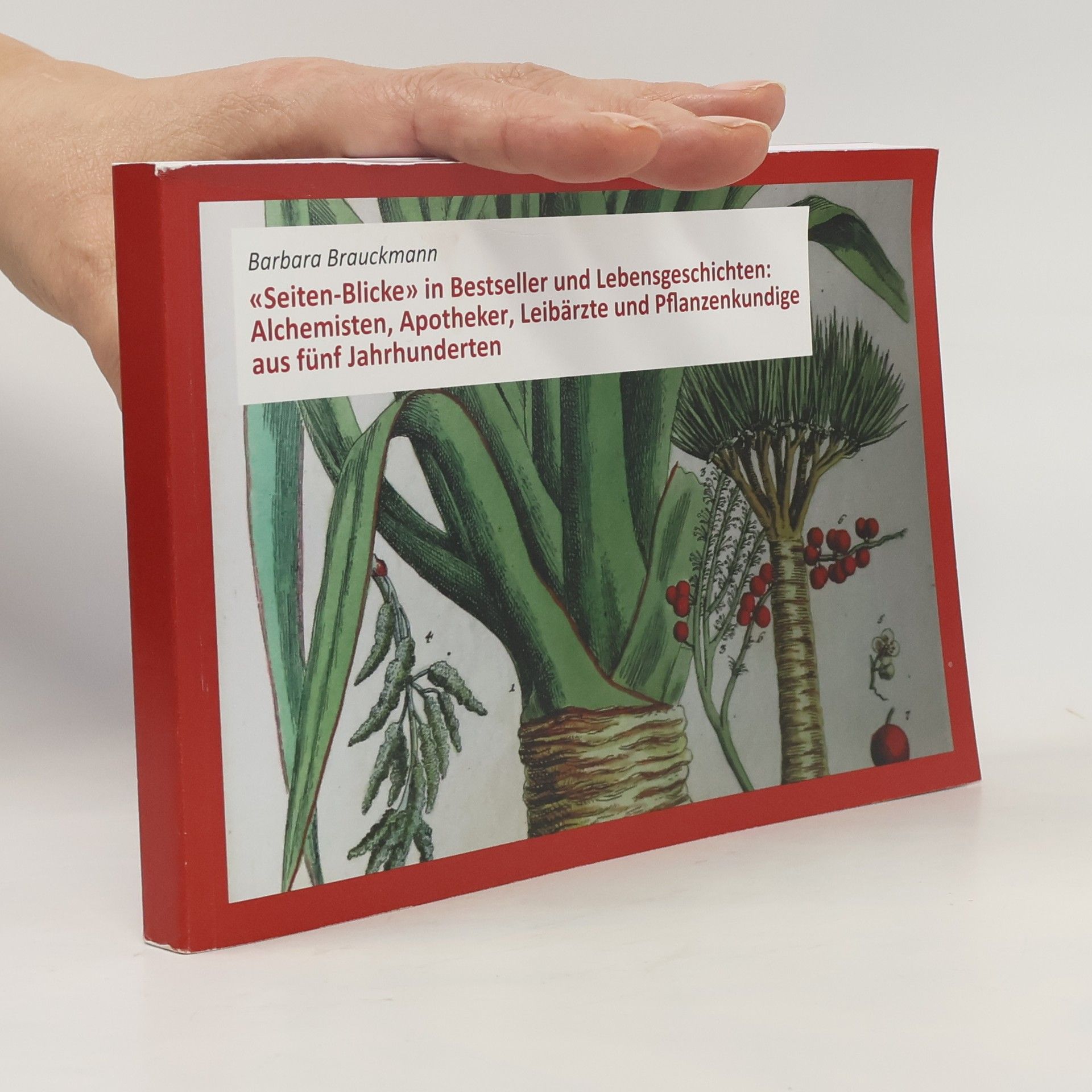 Barbara Brauckmann Seiten-Blicke