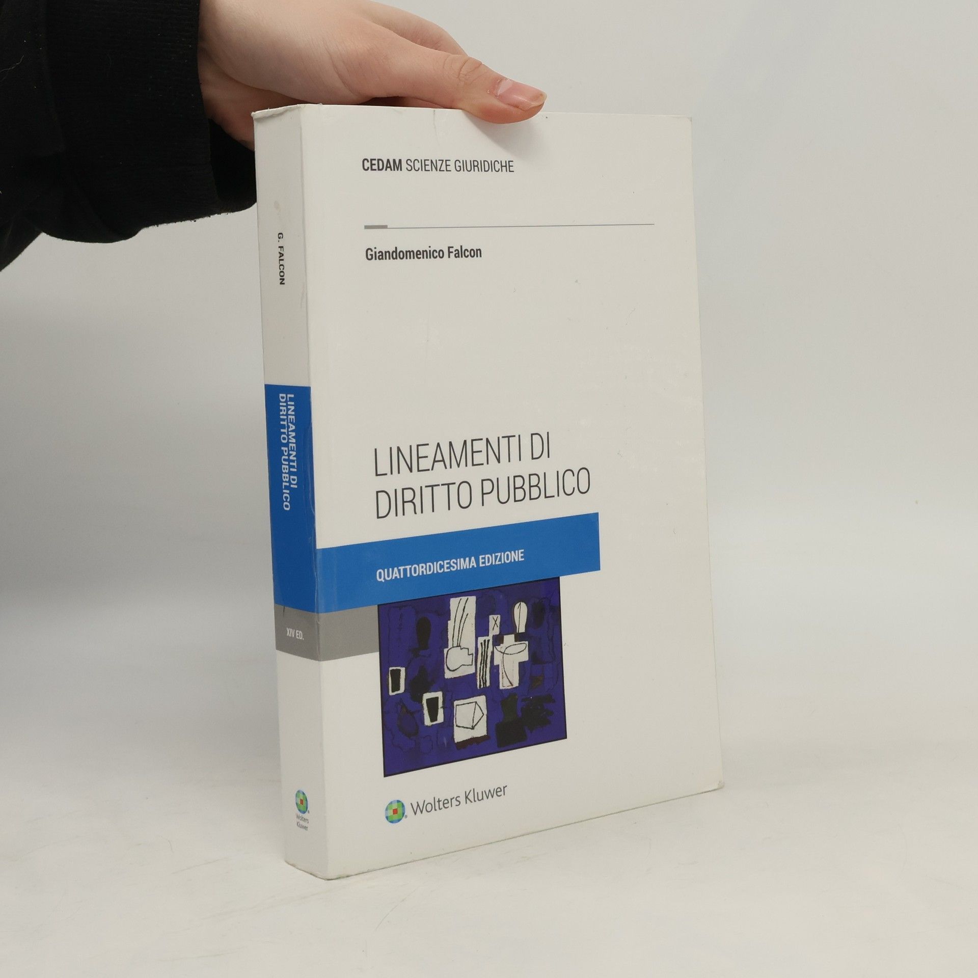 Giandomenico Falcon Lineamenti di diritto pubblico