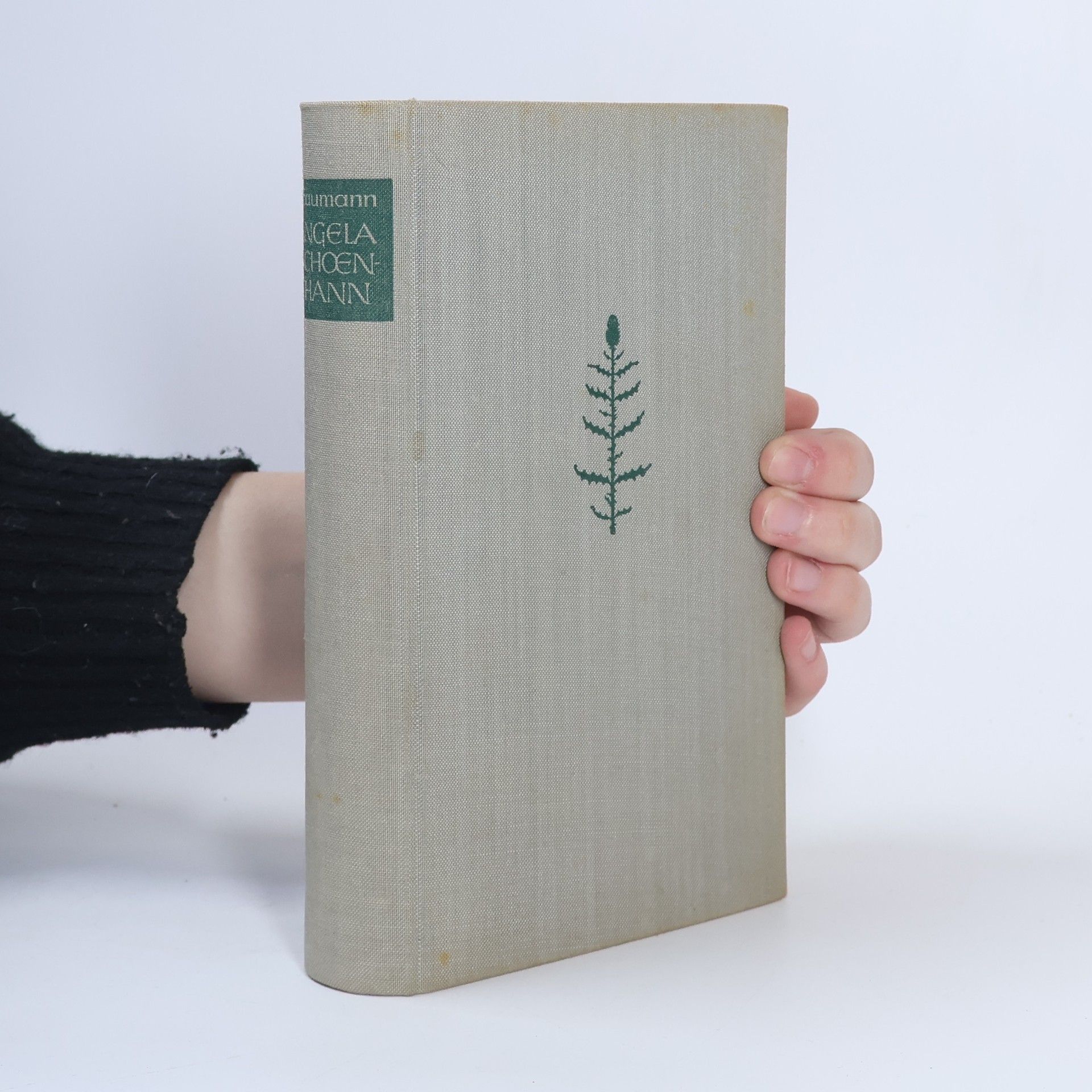 Franz Braumann Angela Schönthann