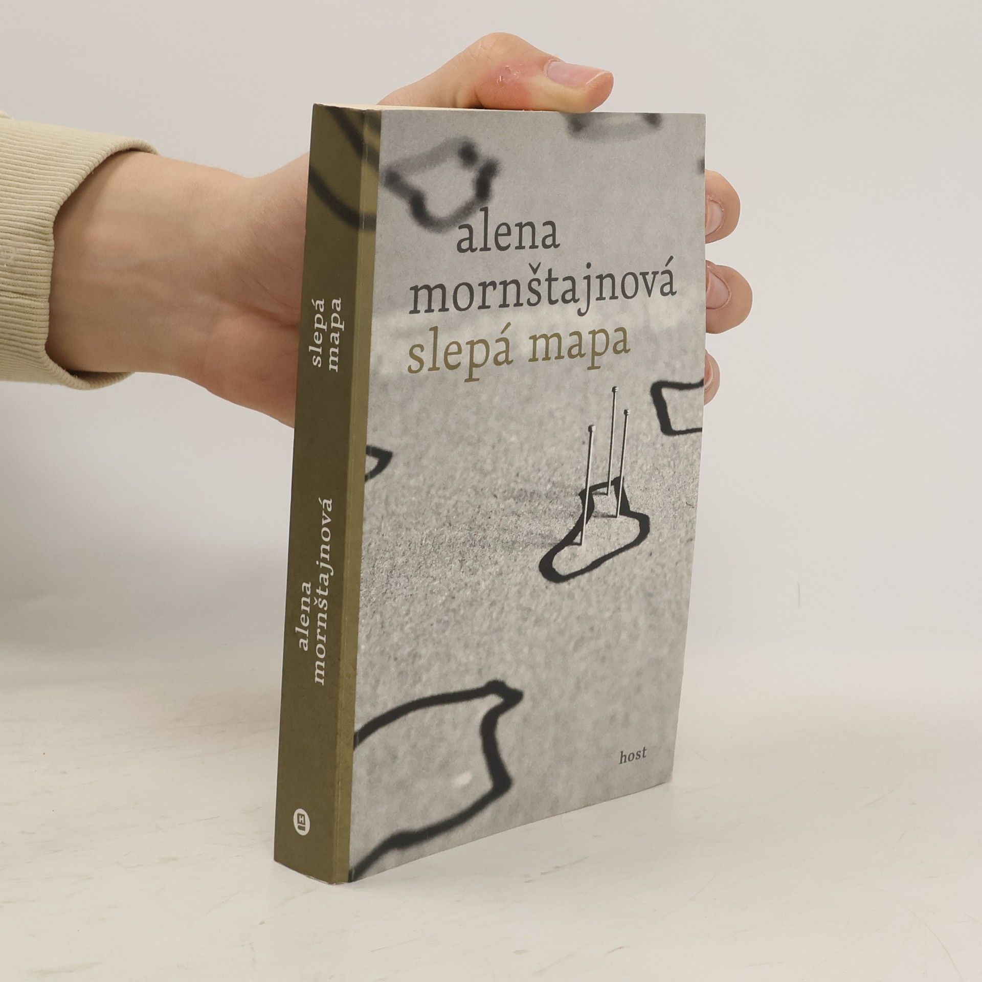 Alena Mornštajnová Slepá mapa