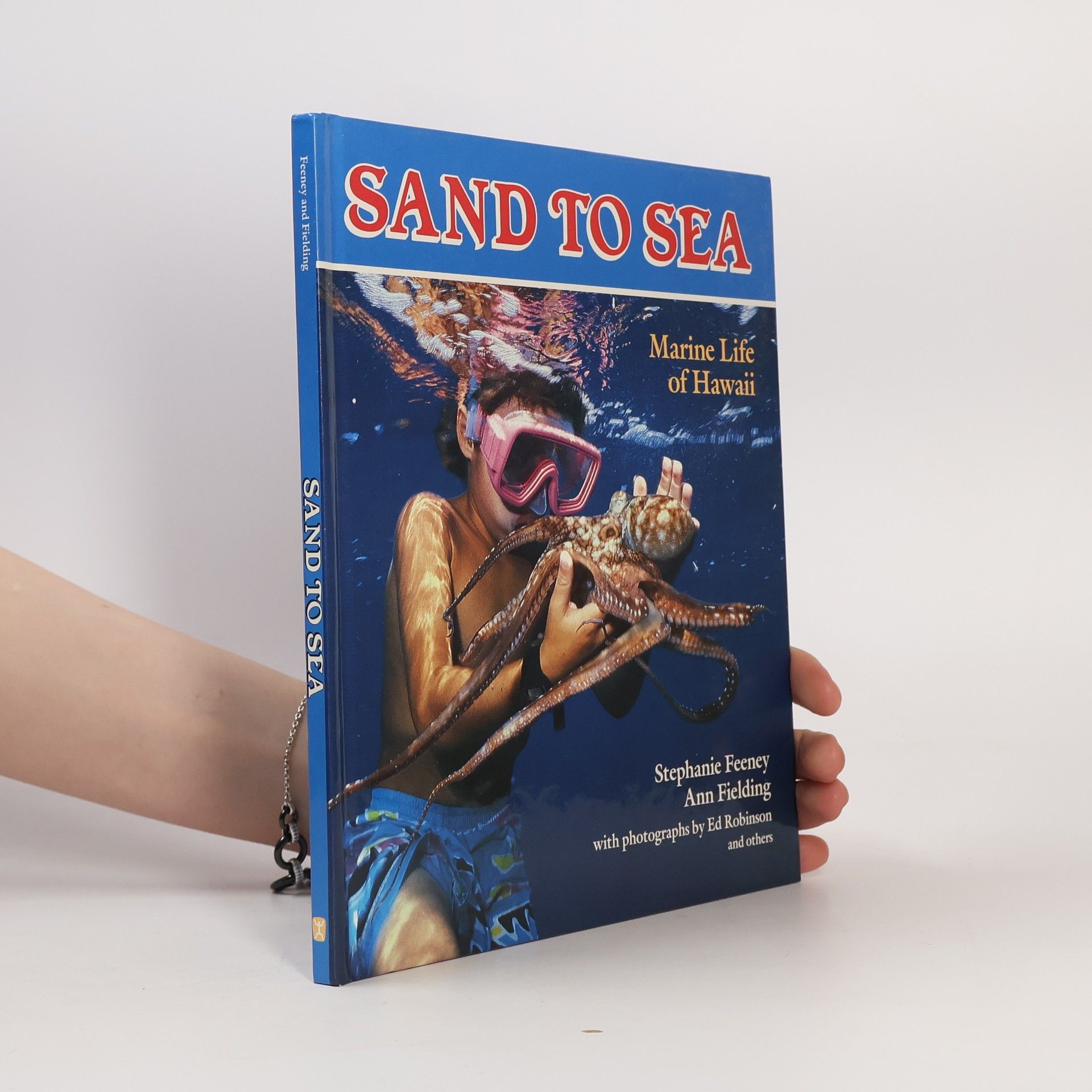 Stephanie Feeney Sand to Sea