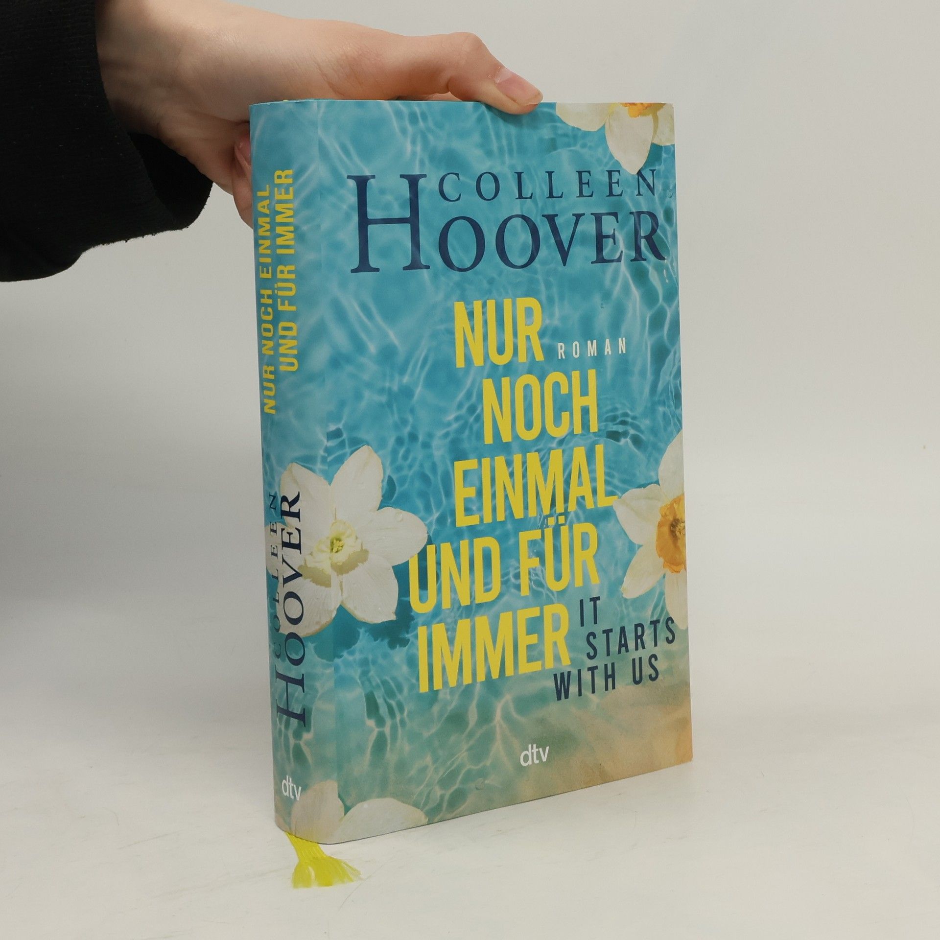 Colleen Hoover Nur noch einmal und für immer