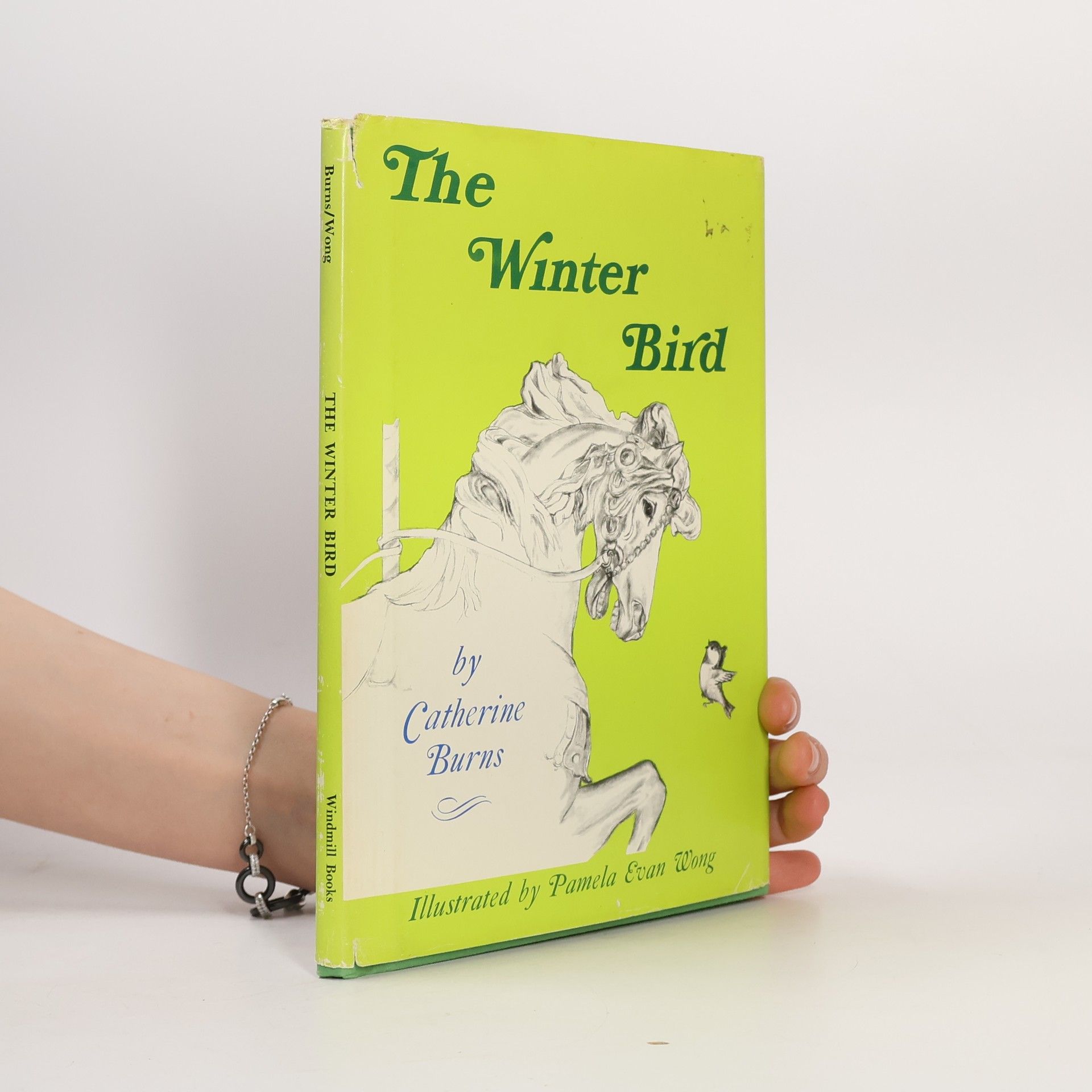 Catherine Burns The Winter Bird