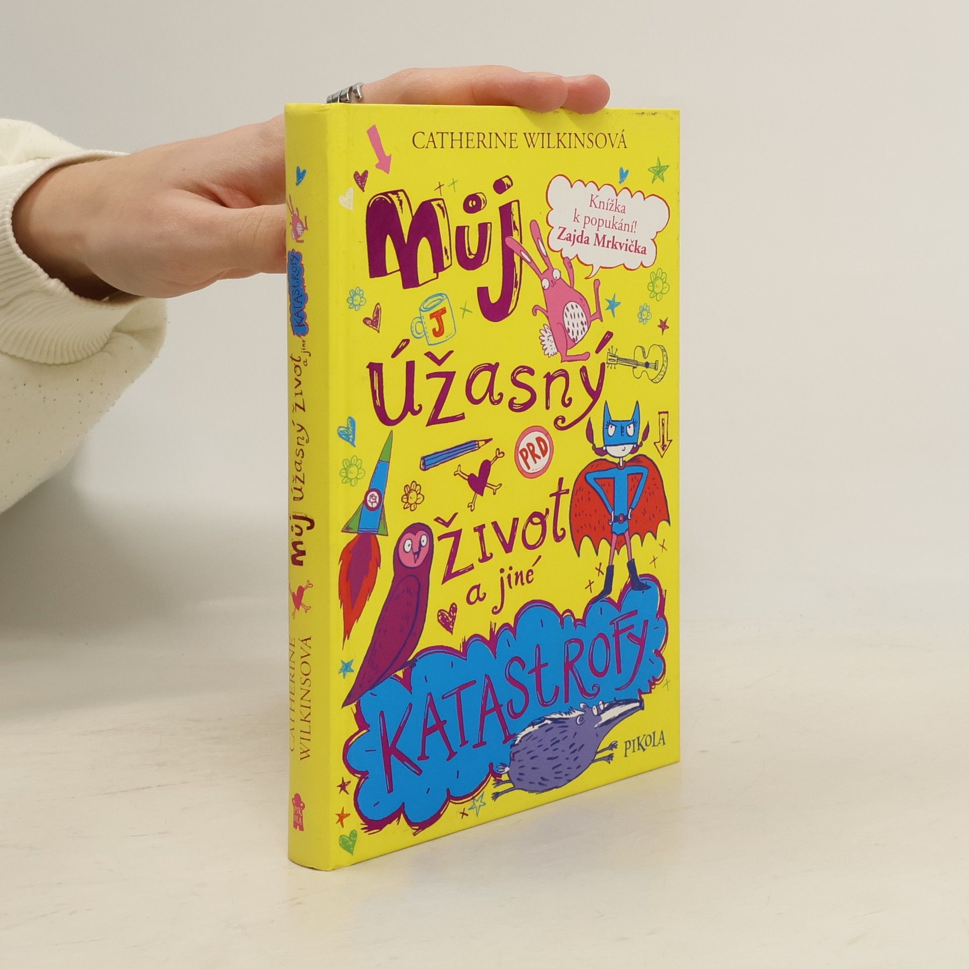 Catherine Wilkins Můj úžasný život a jiné katastrofy