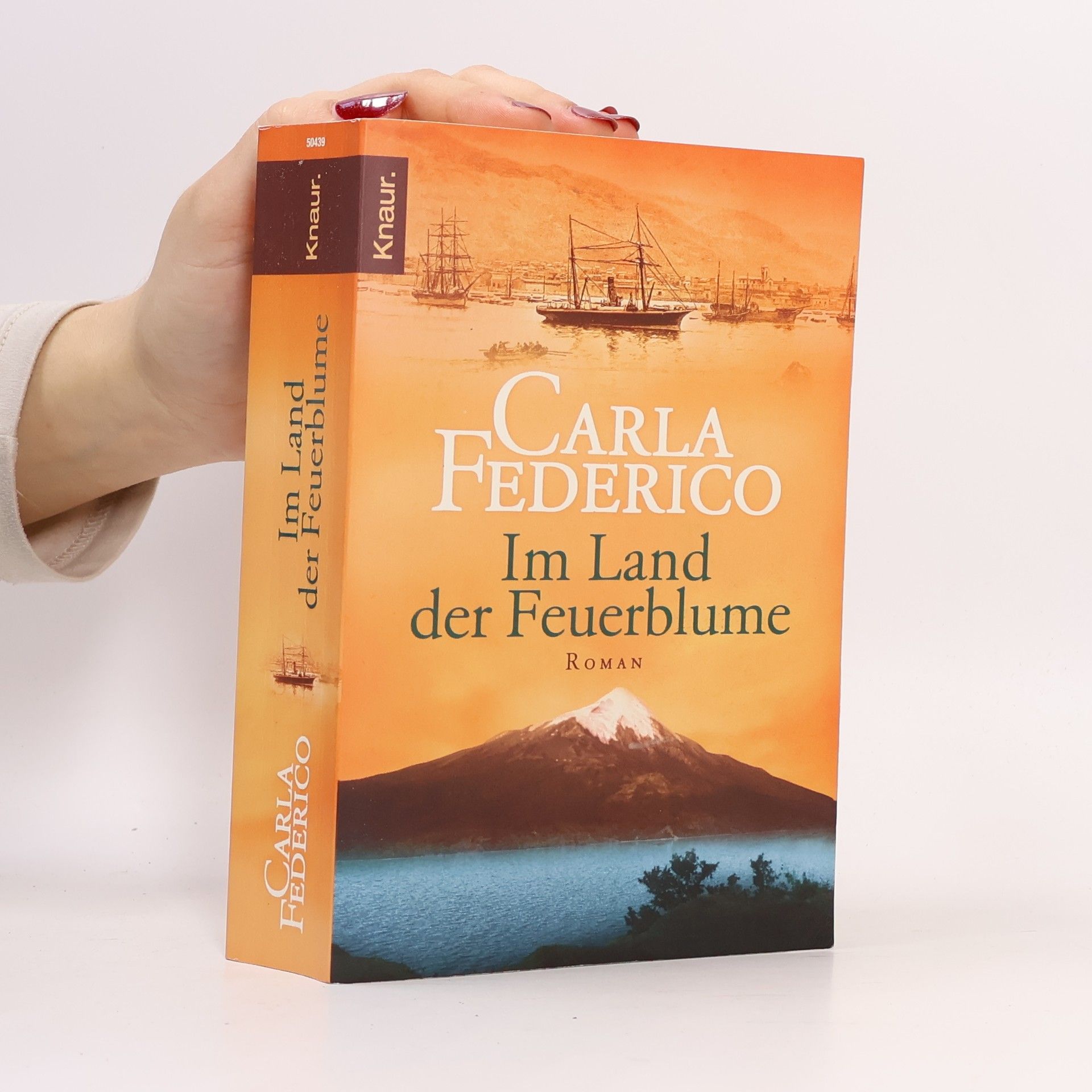 Carla Federico Im Land der Feuerblume