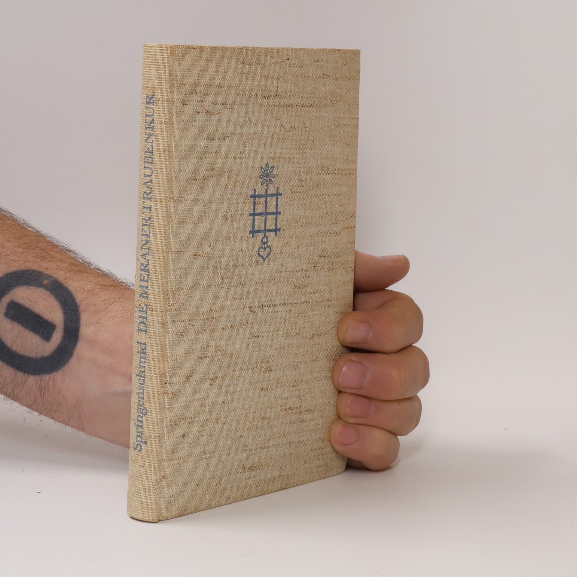 Kolektiv autorů Die meraner Traubenkur