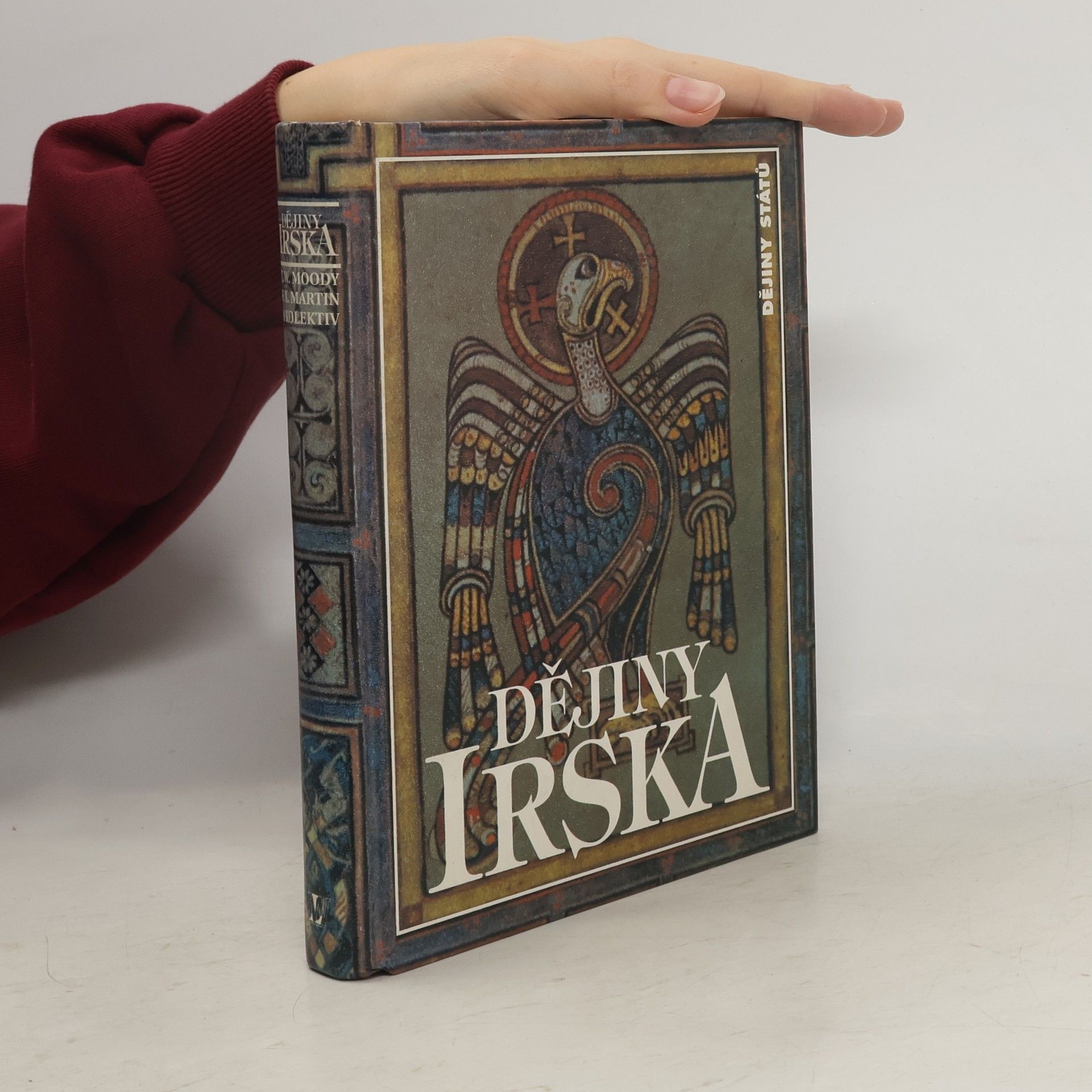 Dějiny Irska